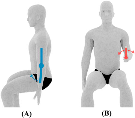 Illustration depicting elbow joint rotations. Image A shows a person seated, with arms straight, indicating forward forearm movement with elbow in place. Image B displays a person seated, with elbows bent, showing forearm rotation with elbow in place. Arrows emphasize joint rotations and directions.
