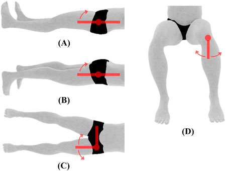 Illustration depicting hip joint rotations. Image A displays a person lying on their back (supine), with legs straight, indicating upward movement of the leg with hips in place. Image B displays a person lying on their front side (prone), with legs straight, indicating upward movement of the leg with hips in place. Image C displays a person lying on their back (supine), with legs straight, indicating sideways movement of the leg with hip in place. Image D displays a person seated, with knees bent, indicating sideways movement of the lower leg (shank) with knee in place. Arrows emphasize joint rotations and directions.