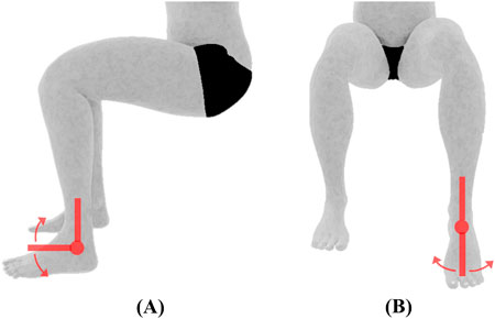 Illustration depicting ankle joint rotation. Image A displays a person seated, with knees bent, indicating upward and downward movement of the foot (toes pointing up and down) with knee and lower leg in place. Image B displays a person seated, with knees bent, indicating sideways movement of the foot with lower leg and knee in place.