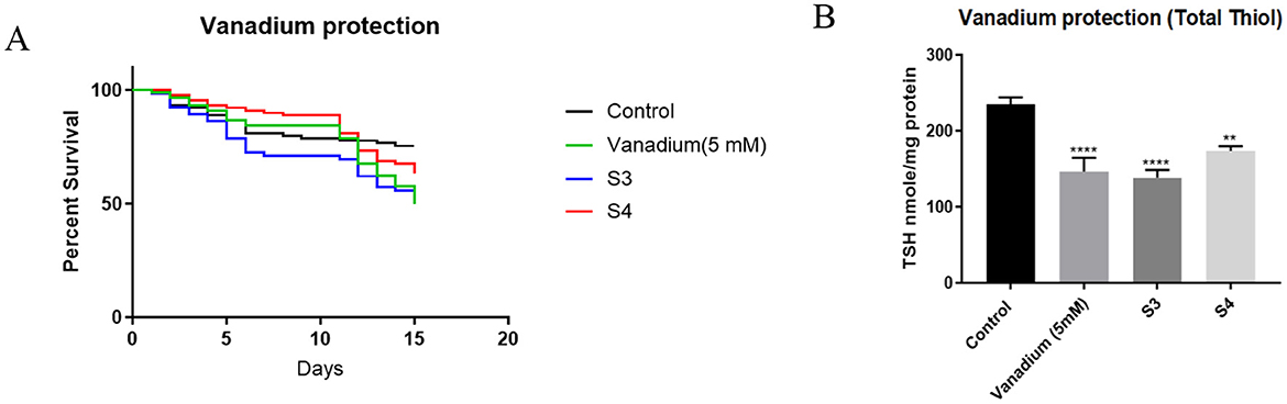 Chart A displays a survival curve comparing control and vanadium treatments over 20 days, with the survival decreasing at varying rates. Chart B is a bar graph showing total thiol levels in TSH nmole/mg protein for control, vanadium, S3, and S4 groups, with vanadium, S3, and S4 showing significantly reduced levels compared to control.