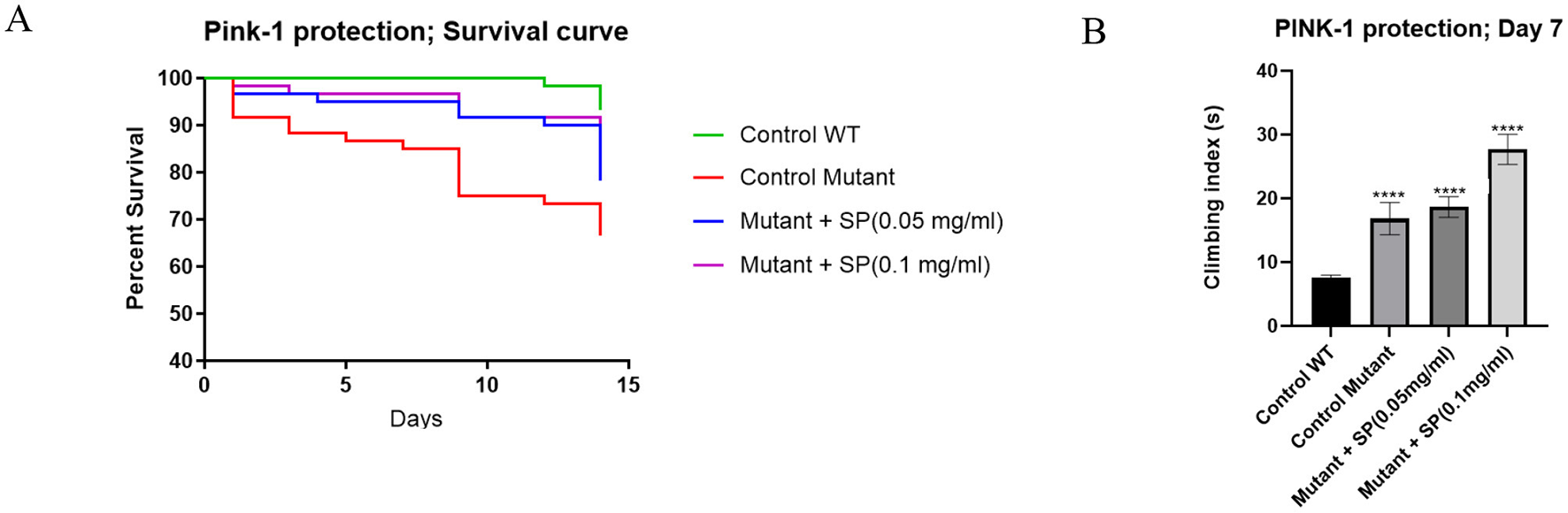 Graphical data with two panels. Panel A shows a survival curve labeled “Pink-1 protection; Survival curve” with percent survival over fifteen days. Green represents Control WT, red is Control Mutant, blue is Mutant + SP (0.05 mg/ml), and pink is Mutant + SP (0.1 mg/ml). The green line is highest, followed by blue, pink, and red. Panel B depicts a bar chart titled “PINK-1 protection; Day 7” comparing climbing index across treatments. Control WT is lowest, Control Mutant is slightly higher, followed by Mutant + SP (0.05 mg/ml), and Mutant + SP (0.1 mg/ml) showing the highest index. Bars have significant stars: two stars for SP (0.05 mg/ml), three for SP (0.1 mg/ml), indicating statistical significance.