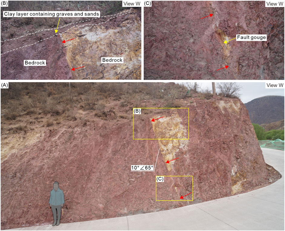 Geological outcrop with labeled features. Panel A shows a person for scale beside a sloped rock face. Panels B and C zoom in on sections of the rock wall. Panel B highlights a clay layer with gravel and sand between two bedrock sections, while panel C shows a fault gouge. Arrows indicate features of interest, and angles are marked at ten degrees and sixty-five degrees.