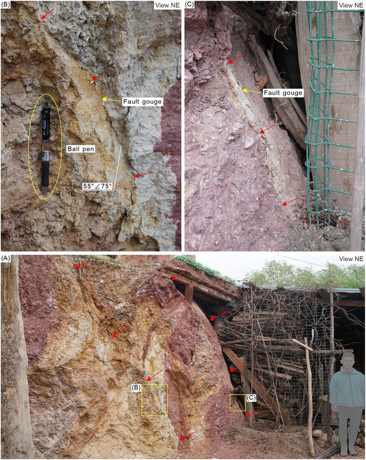 Geological study of a fault zone at a construction site shown in three panels. Panel (A) presents an overview of the rock face with red arrows indicating fault lines. Panel (B) zooms in on a section with a ball pen for scale, highlighting a fault gouge. Panel (C) shows another section with fault gouges and structural reinforcements like wooden beams and mesh. Each panel is labeled for orientation with a