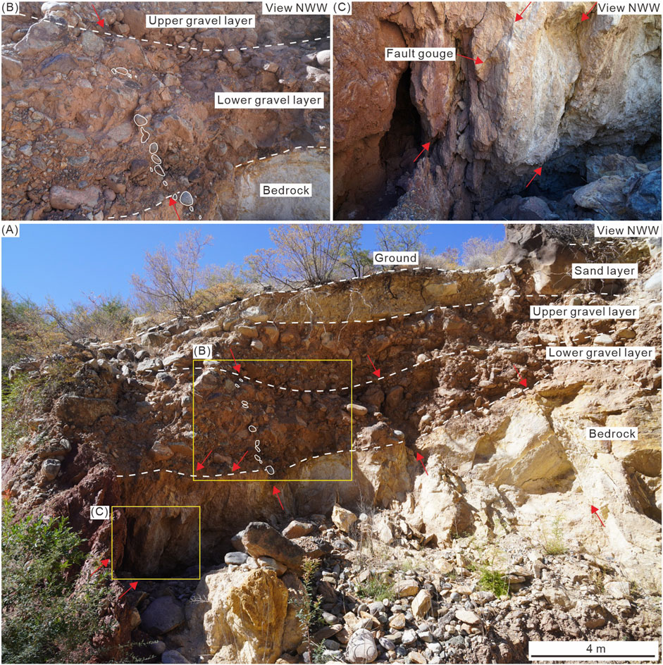 Geological cross-section showing various sedimentary layers and features. Image (A) displays ground, a sand layer, upper and lower gravel layers, and bedrock with labels and dashed lines. Image (B) highlights the boundary between the upper and lower gravel layers. Image (C) focuses on a fault gouge with arrows indicating its location. A scale bar shows four meters.