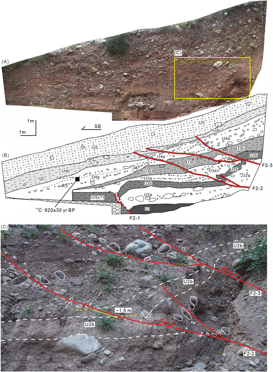 Geological cross-section with three panels: A) an exposed stratigraphic section with red soil and rocks; B) a diagram illustrating geological layers and fault lines, labeled with strata such as U2b and U3b, and a radiocarbon date; C) a close-up of the section, highlighting rock formations and fault lines with marked measurements and annotations like F2-2 and U2b.