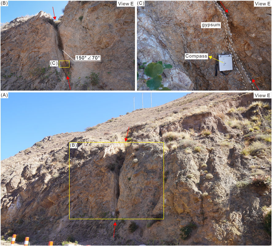 A geological formation with three panel images:(A) A large rock outcrop on a hillside with visible layers and some vegetation. Red arrows highlight specific areas. (B) A closer view of a crevice in the rock, with a measurement labeled 150° ∠70°. A red arrow indicates a section within.(C) A detailed view shows a compass against a gypsum layer within the rock, with a red arrow pointing along a dashed line.