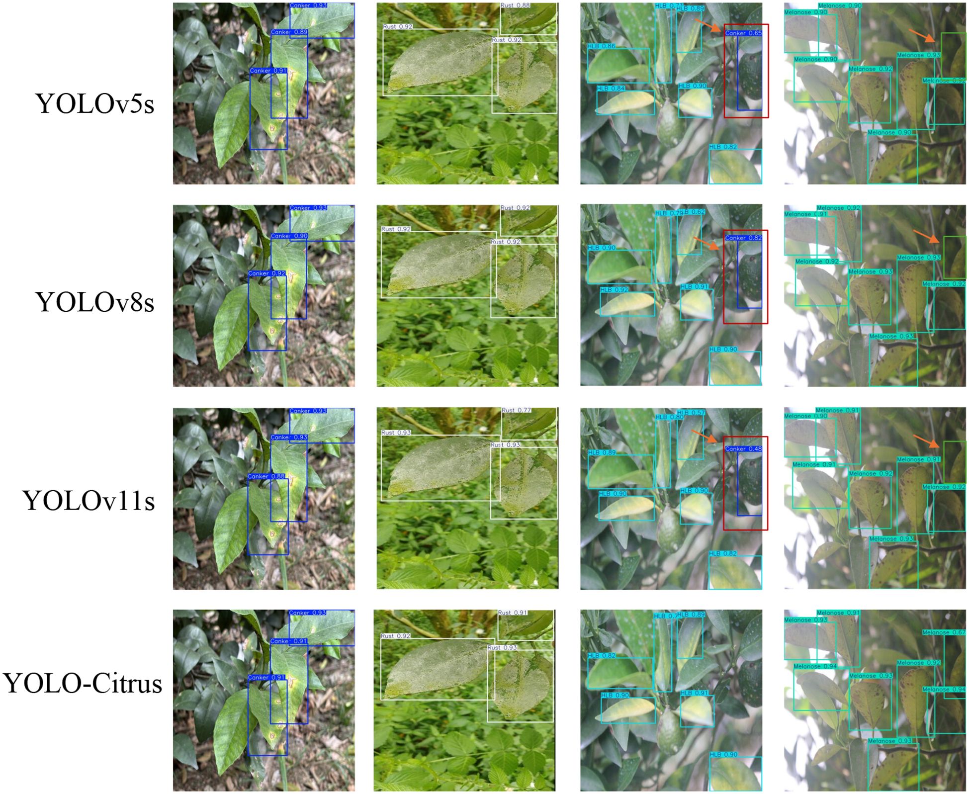 Leaf detection images using YOLO models: each row displays four sub-images. The first three identify leaves among greenery with bounding boxes; the fourth shows detailed detection with different colored boxes. Models shown are YOLOv5s, YOLOv8s, YOLOv11s, and YOLO-Citrus.