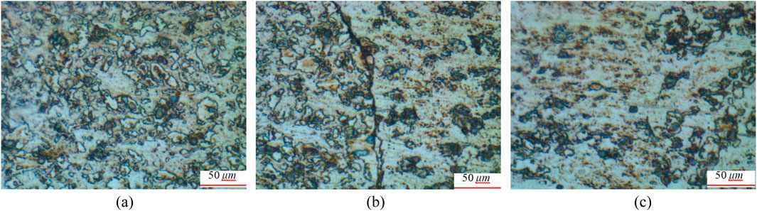 Three side-by-side microscopic images show textured surfaces with irregular, dark, and light patterns. Each image has a scale marker indicating 50 micrometers. The surfaces appear complex with varying shades of brown and white.
