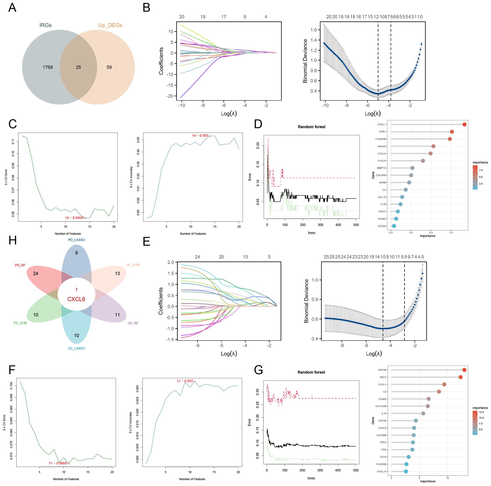 A series of charts and diagrams analyzing immune-related genes (IRGs) and differentially expressed genes (DEGs). Image A shows a Venn diagram comparing IRGs and upregulated DEGs, with an overlap of 25 genes. Images B and E display plots of coefficients versus log-lambda values and binomial deviance for model selection. Images C and F illustrate plots of number of features versus cross-validation error and accuracy. Images D and G present random forest error rates against the number of trees, with feature importance graphs. Image H is a Venn diagram highlighting gene overlaps, with CXCL6 as a central focus.