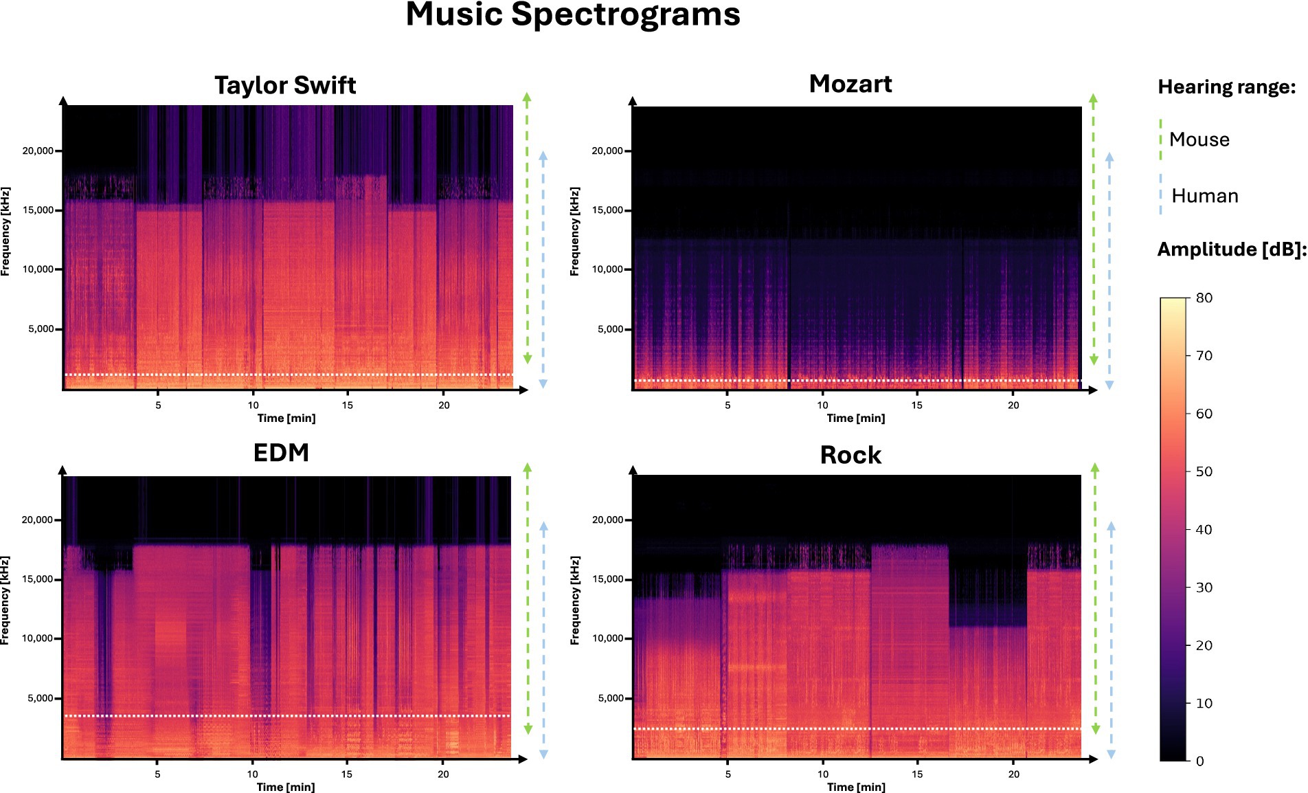 Spectrograms of different music types: (A) Taylor Swift, (B) Mozart, (C) EDM, and (D) Rock. Frequency in kilohertz on the y-axis versus time in minutes on the x-axis. Amplitude is indicated by color intensity, with a scale from 0 to 80 decibels. Hearing ranges for mice and humans are marked.