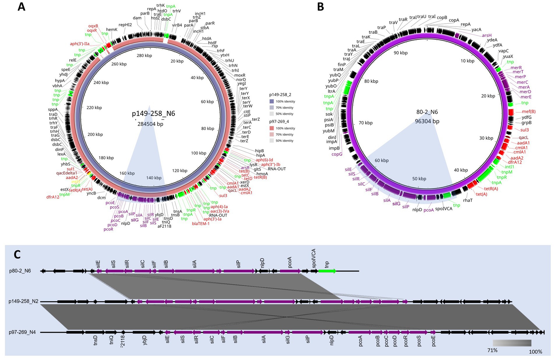 Circular diagrams A and B show annotated plasmid maps with genes marked in various colors. Diagram A represents plasmid p149-258_N6, while B depicts p80-2_N6. A central line indicates identity percentages. Diagram C displays a linear comparison of three plasmids with shaded regions indicating sequence similarities, labeled with genetic features and identity percentages.