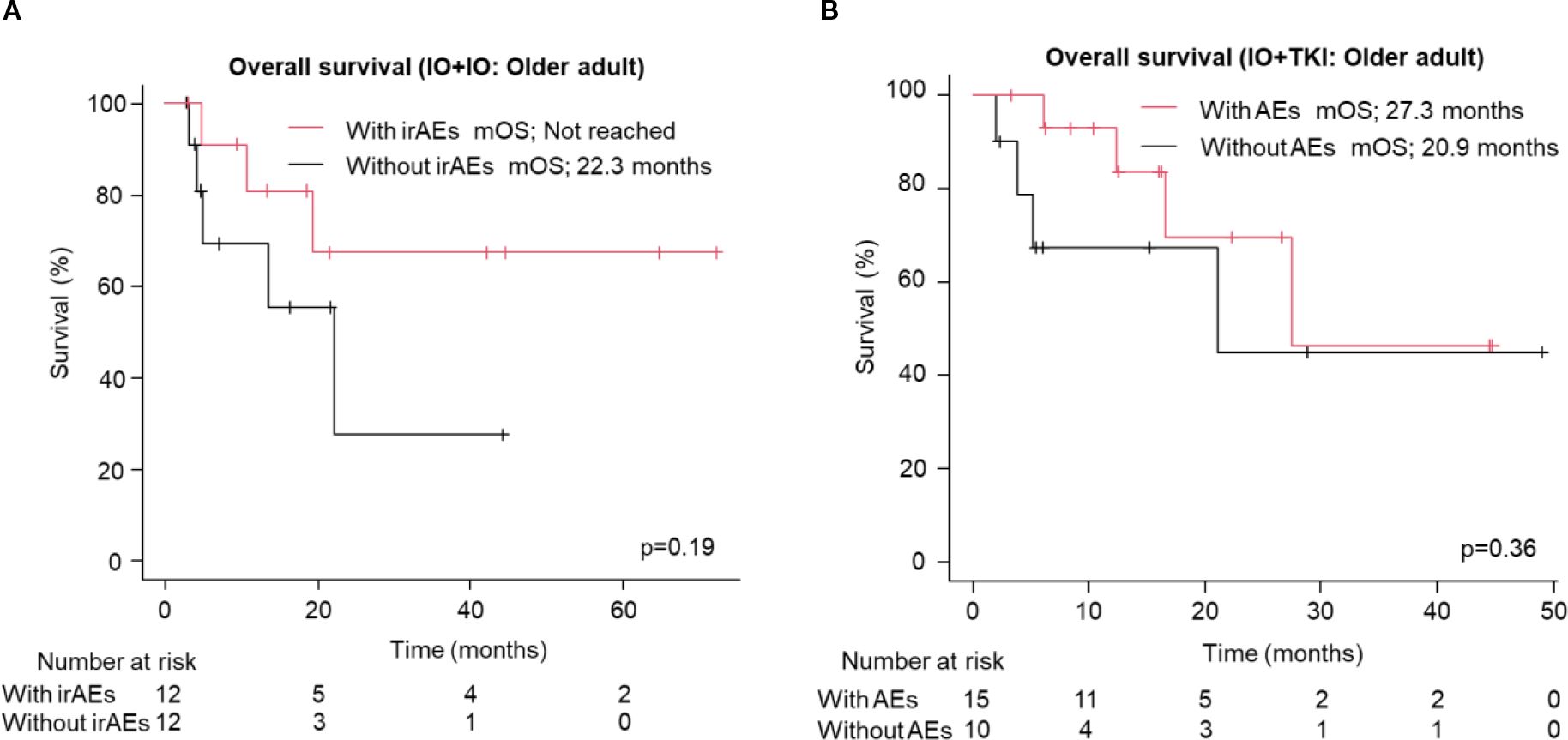 Kaplan-Meier survival curves comparing overall survival in older adults. Panel A shows IO plus IO treatment, with the red line representing patients with irAEs and a median overall survival not reached, and the black line showing without irAEs at 22.3 months. Panel B shows IO plus TKI treatment, with AEs indicated by a red line showing a median overall survival of 27.3 months, and without AEs by a black line at 20.9 months. Both panels contain a number at risk table and p-values, 0.19 for A and 0.36 for B.