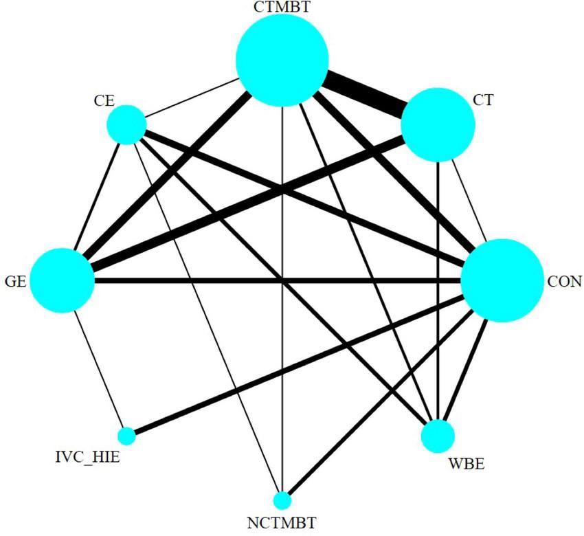 Network diagram with nodes labeled CTMBT, CT, GE, CE, CON, IVC_HIE, WBE, and NCTMBT. Nodes are connected by lines of varying thickness, indicating different connection strengths. Larger nodes suggest a higher level of connectivity.