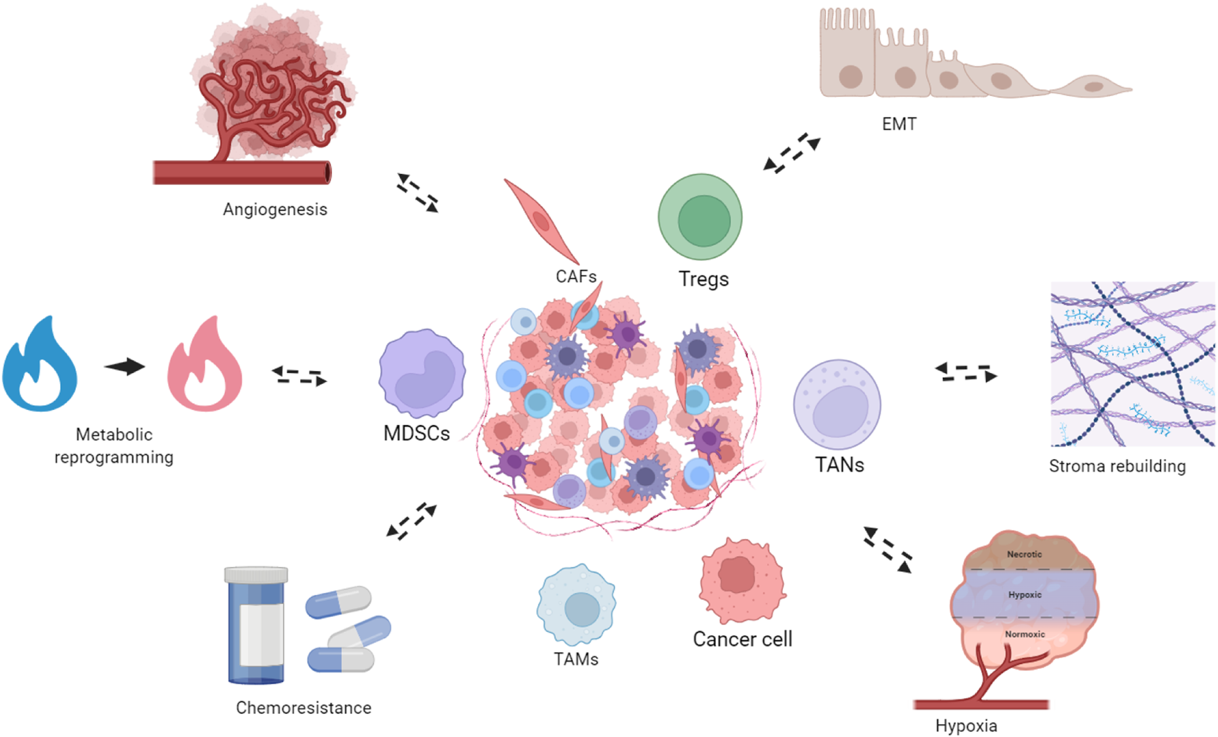 Diagram illustrating tumor microenvironment interactions. Central cancer cells are surrounded by various elements: angiogenesis vessels, cancer-associated fibroblasts, regulatory T cells, metabolic reprogramming, myeloid-derived suppressor cells, tumor-associated neutrophils, epithelial-mesenchymal transition, stroma rebuilding, hypoxia, and chemoresistance pills. Arrows depict interactions indicating a complex network of influences on tumor behavior.