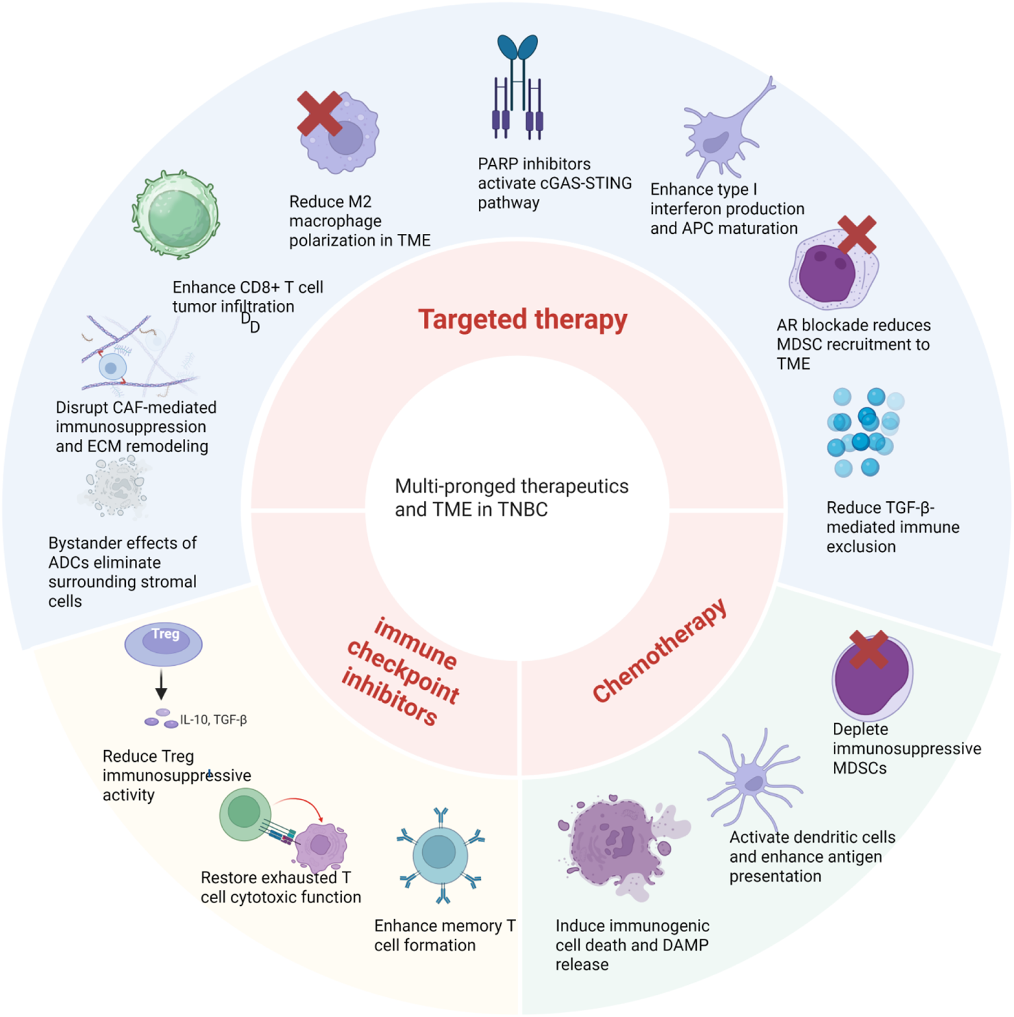 Circular infographic depicting multi-pronged therapeutics and tumor microenvironment (TME) in triple-negative breast cancer (TNBC). It is divided into sections labeled "Targeted Therapy," "Immune Checkpoint Inhibitors," and "Chemotherapy." Each section includes strategies: enhancing CD8+ T cell tumor infiltration, reducing macrophage polarization, activating cGAS-STING pathway, enhancing interferon production, reducing immunosuppressive cells, and more. Central circle reads, "Multi-pronged therapeutics and TME in TNBC."