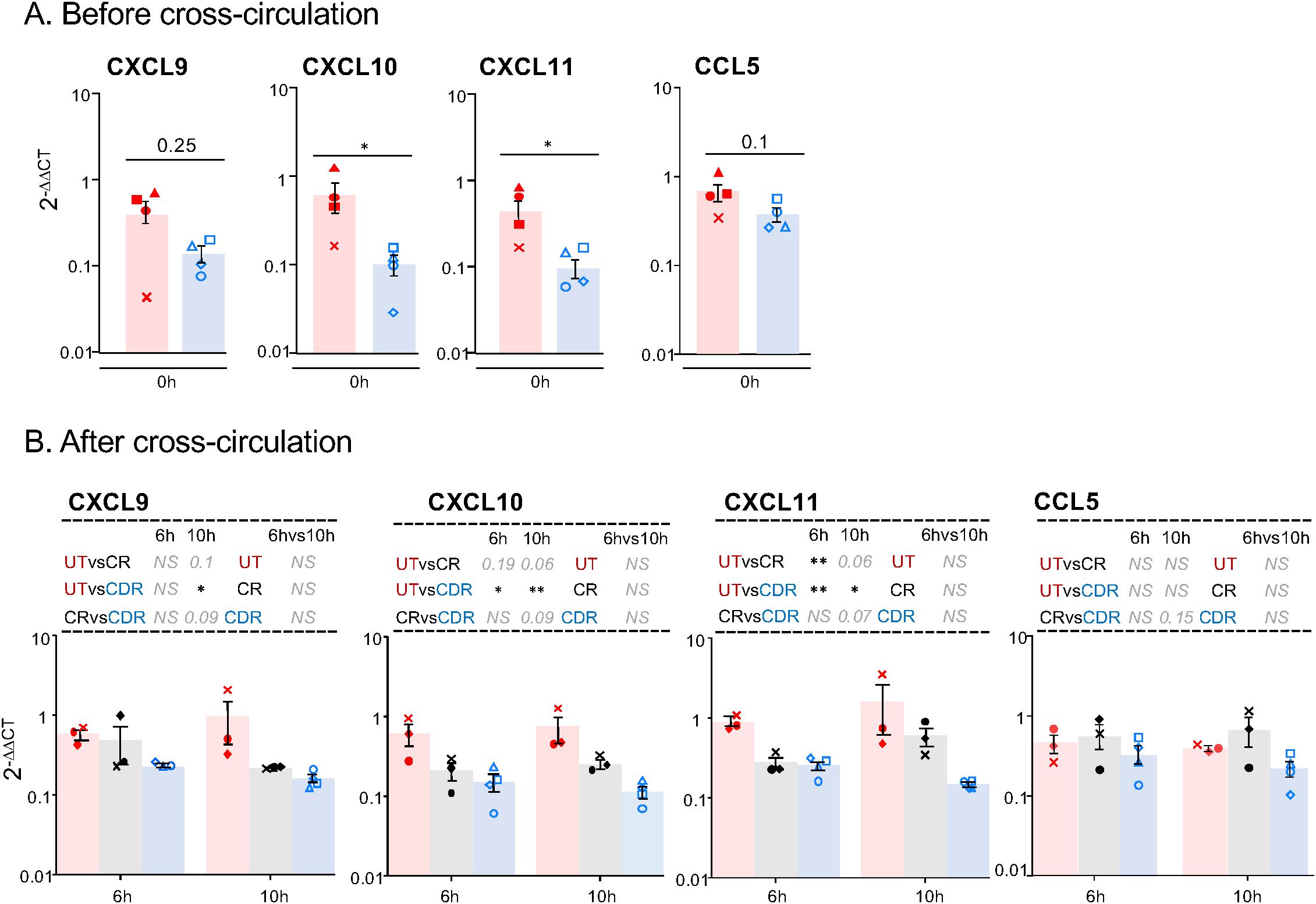 Bar graphs displaying relative expression levels of CXCL9, CXCL10, CXCL11, and CCL5 before and after cross-circulation. Panel A shows data before cross-circulation, with differentially colored bars and markers indicating various statistical significance levels. Panel B shows data after cross-circulation at 6 and 10 hours, also with colored bars and significance annotations. Data points are indicated with different symbols, and scales are logarithmic. Statistical notations like asterisks and “NS” denote significance levels in comparisons such as UT vs CR and UT vs CDR.