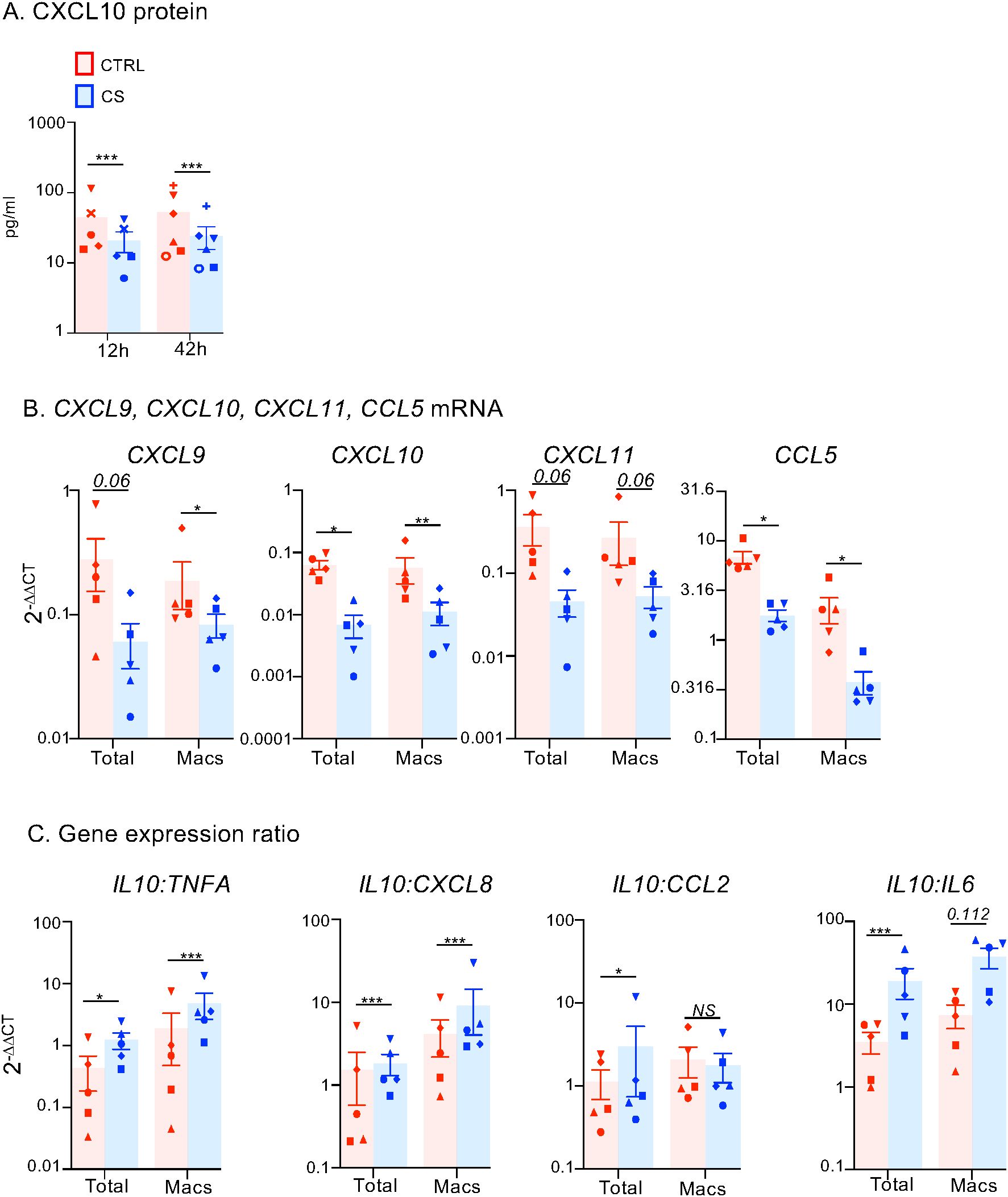 Graphical data showing differences in protein and mRNA levels under control (CTRL) and experimental (CS) conditions. A. CXCL10 protein levels measured at 12 and 42 hours indicate significant differences, marked by asterisks, between CTRL (red) and CS (blue). B. mRNA expression levels for CXCL9, CXCL10, CXCL11, and CCL5 are compared between total cells and macrophages (Macs), showing statistical significance in various genes, noted by p-values and asterisks. C. Gene expression ratios of IL10 with TNFA, CXCL8, CCL2, and IL6 are presented, highlighting significant differences with statistical markers.