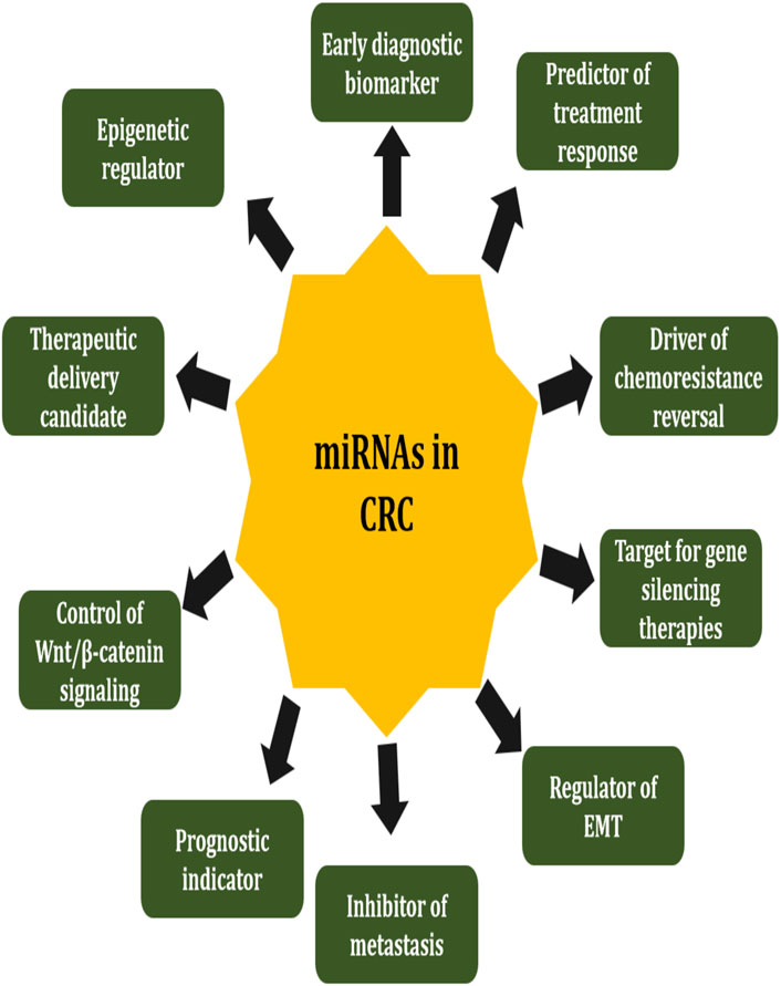 Diagram showing roles of miRNAs in colorectal cancer (CRC). Central yellow shape labeled