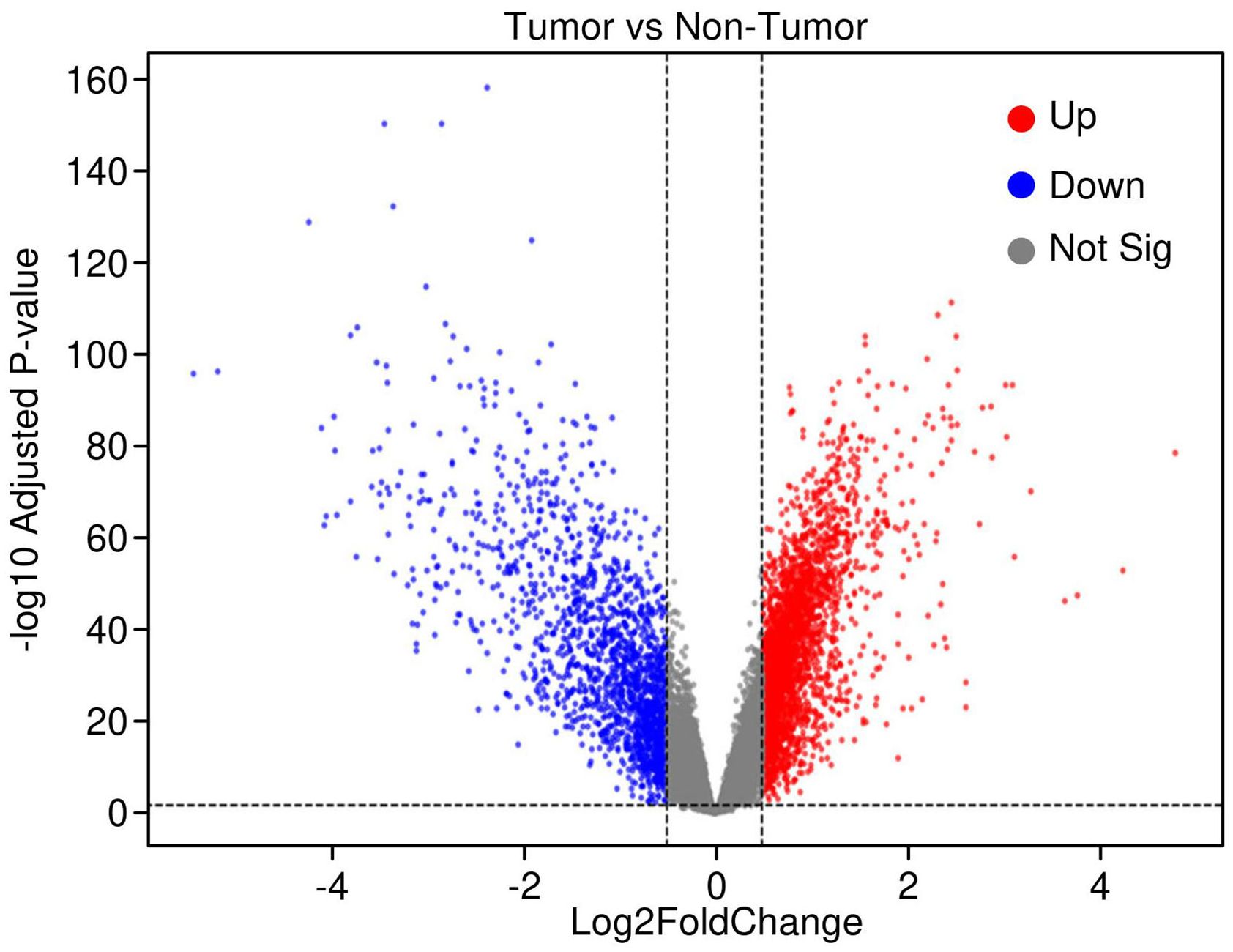 Volcano plot showing differentially expressed genes between tumor and non-tumor samples. Red dots indicate upregulated genes, blue dots indicate downregulated genes, and gray dots represent non-significant genes. Horizontal axis represents log2 fold change, and vertical axis represents negative log10 adjusted p-value. Dotted lines signify significance thresholds.