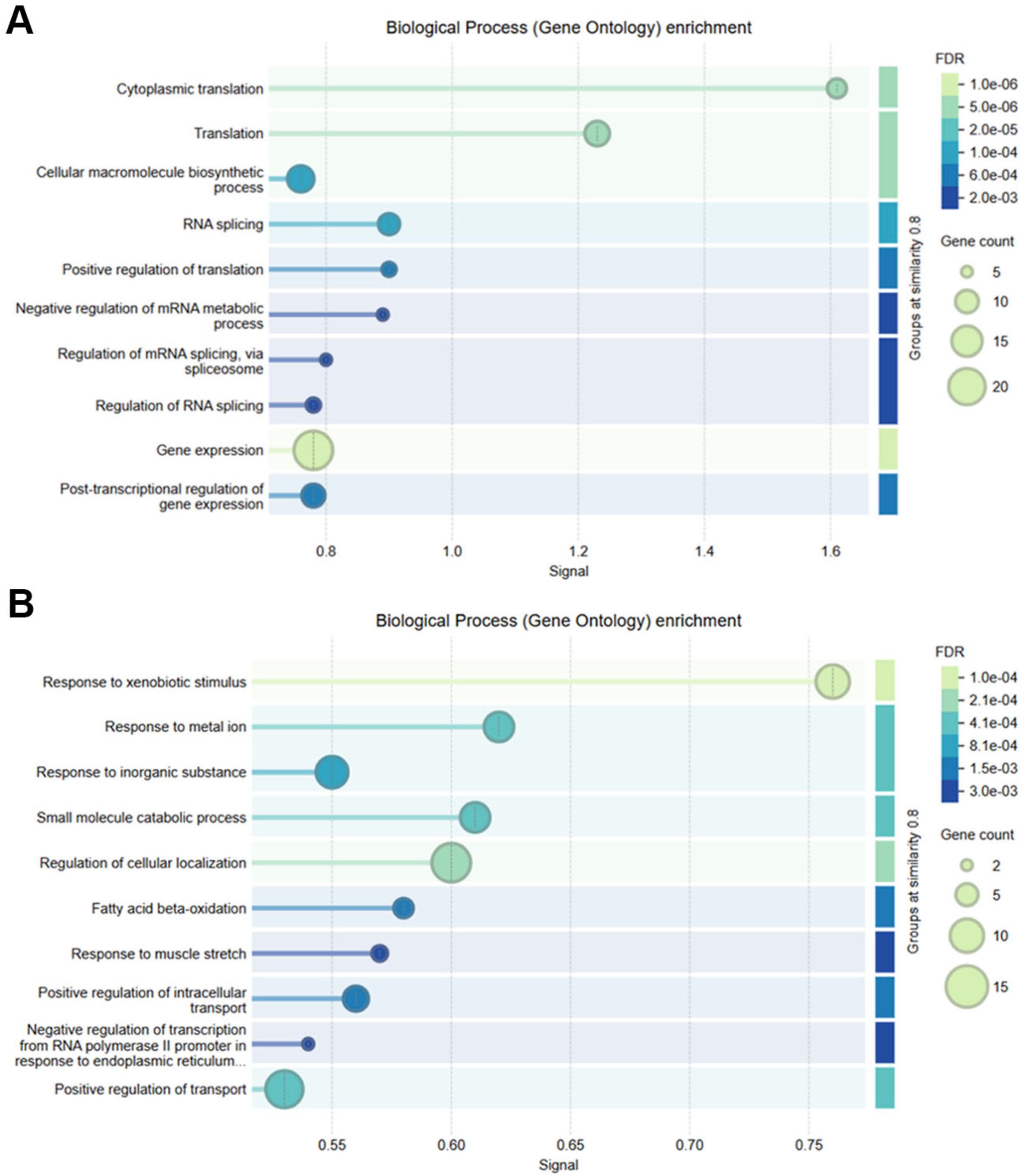 Two dot plots showing Gene Ontology enrichment for biological processes. Panel A highlights processes like cytoplasmic translation and RNA splicing, with variable signal values and gene counts. Panel B highlights responses to stimuli and metabolic processes, also showing variable signal values. Both plots use color to represent false discovery rate (FDR) and circle size for gene count.