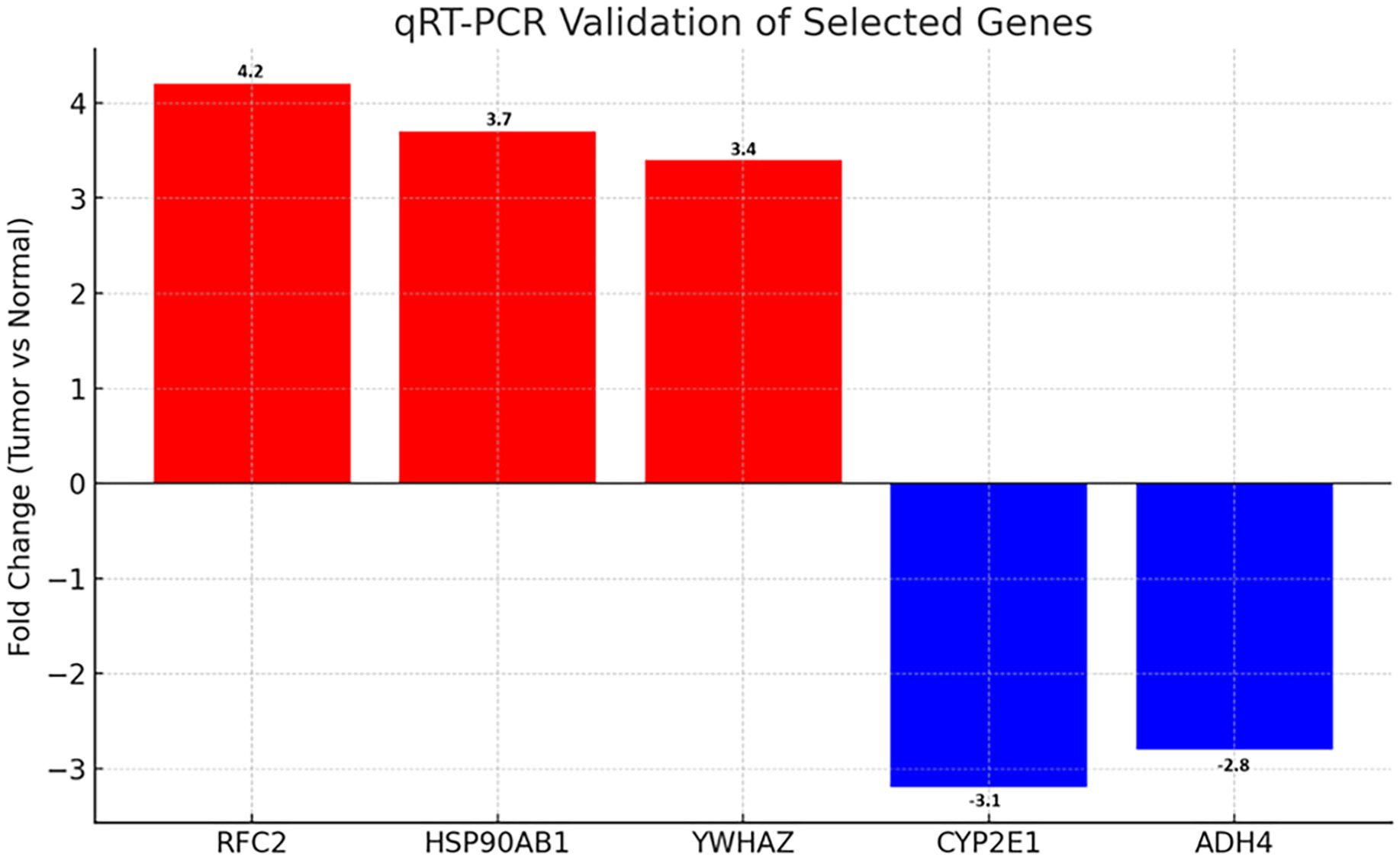 Bar chart titled “qRT-PCR Validation of Selected Genes” showing fold change in tumor versus normal. Red bars indicate upregulation for RFC2 (4.2), HSP90AB1 (3.7), and YWHAZ (3.4). Blue bars indicate downregulation for CYP2E1 (-3.1) and ADH4 (-2.8).
