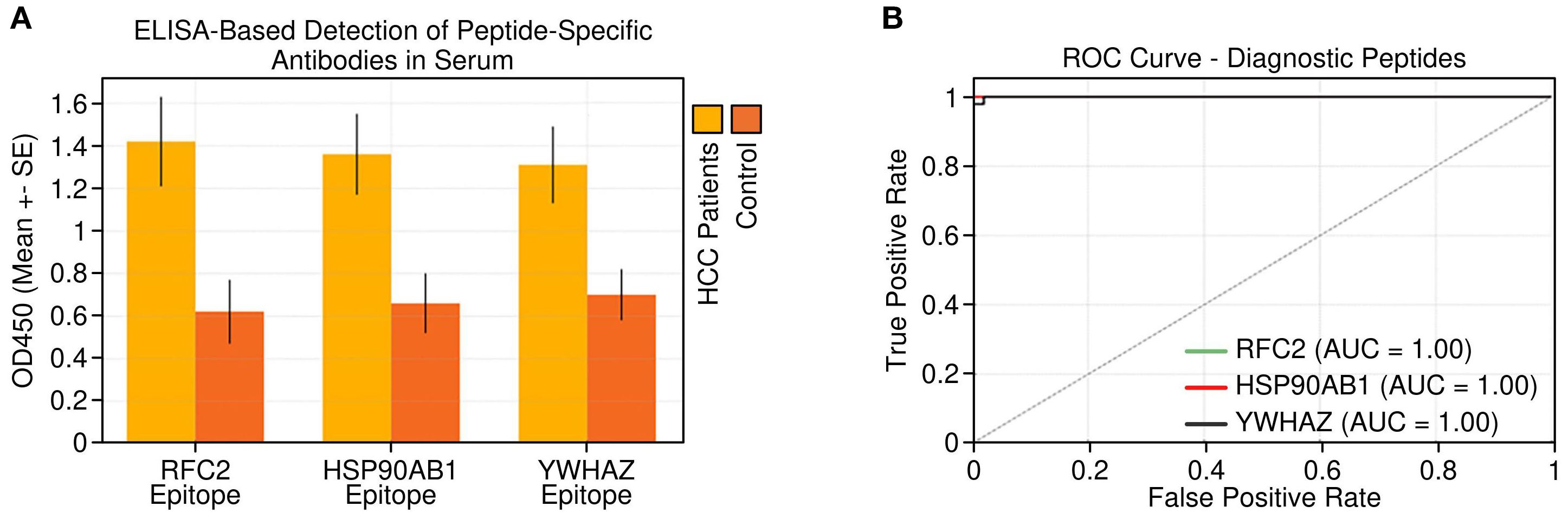 Panel A shows a bar graph of ELISA-based detection of peptide-specific antibodies in serum, comparing OD450 levels of HCC patients and controls across RFC2, HSP90AB1, and YWHAZ epitopes. HCC patients exhibit higher OD450 levels. Panel B depicts a ROC curve for diagnostic peptides RFC2, HSP90AB1, and YWHAZ, each showing an AUC of 1.00, indicating perfect discrimination.