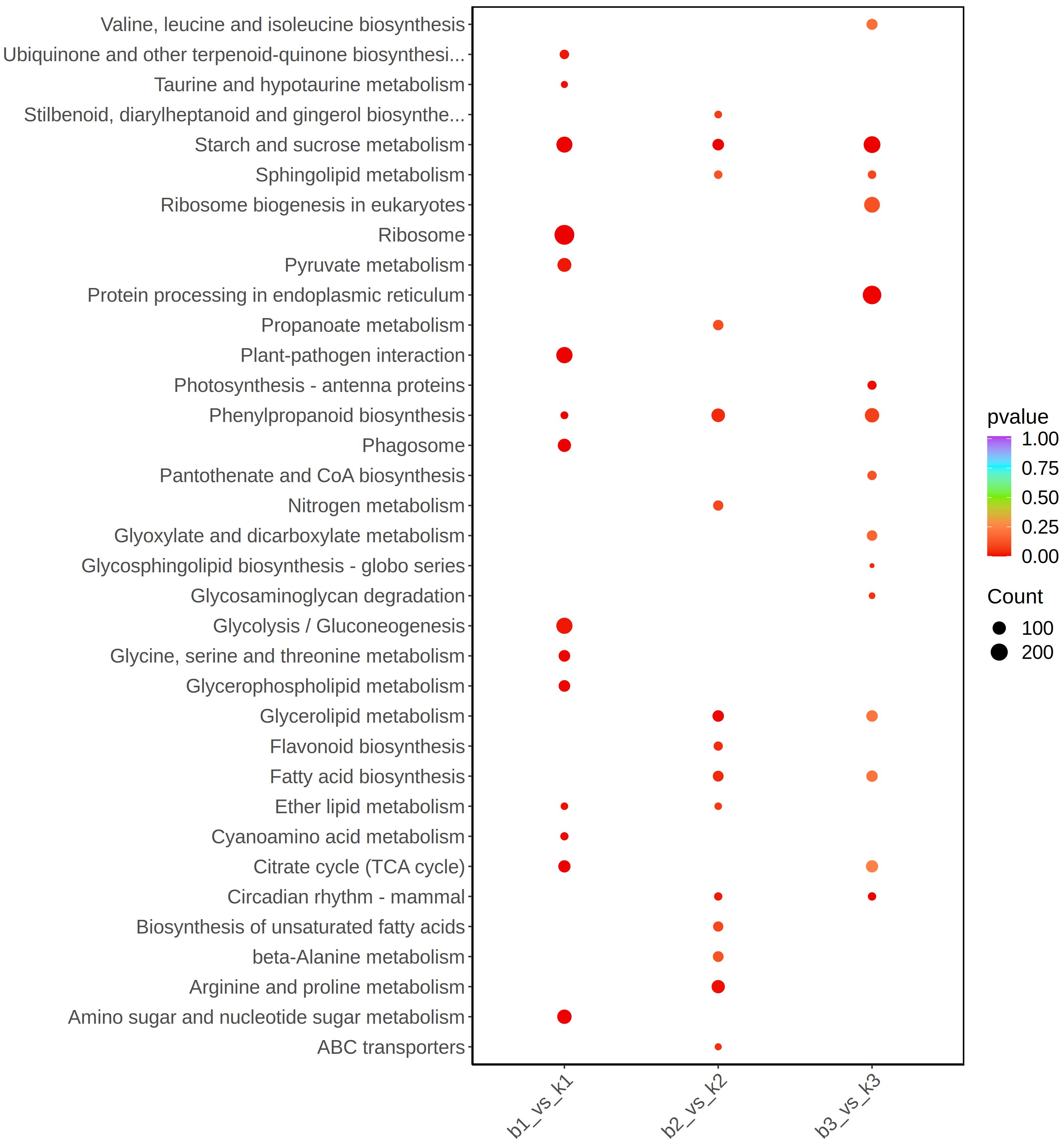Dot plot showing various biosynthesis and metabolism pathways compared across conditions b1 vs K1, b2 vs K2, and b3 vs K3. The dot size indicates count, and color represents p-value significance, ranging from red (0.00) to light pink (1.00). Key pathways include valine, leucine, isoleucine biosynthesis, and starch and sucrose metabolism.