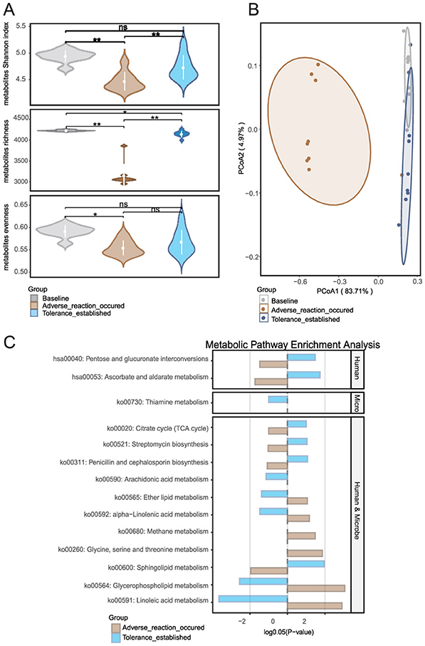 Panel A displays three violin plots showing metabolites' Shannon index, richness, and evenness for three groups: Baseline, Adverse reaction occurred, and Tolerance established. Panel B is a PCoA plot illustrating data clustering for the same groups. Panel C illustrates metabolic pathway enrichment analysis using MetOrigin, comparing two sequential phase transitions: baseline to adverse reaction, and adverse reaction to tolerance establishment. Pathways are categorized by human and microbial origins, with bar graphs showing differential enrichment patterns.