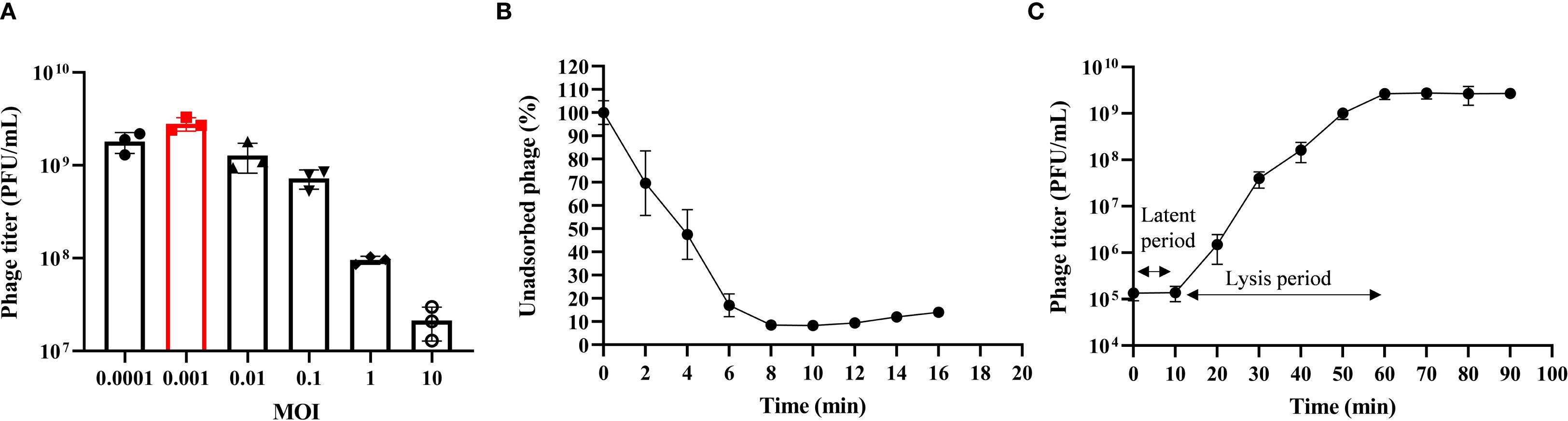 Chart A is a bar graph showing phage titer at different multiplicities of infection (MOI) from 0.0001 to 10. Chart B is a line graph depicting the percentage of unadsorbed phage over time from 0 to 20 minutes. Chart C is a line graph illustrating phage titer over time from 0 to 100 minutes, showing the latent and lysis periods.