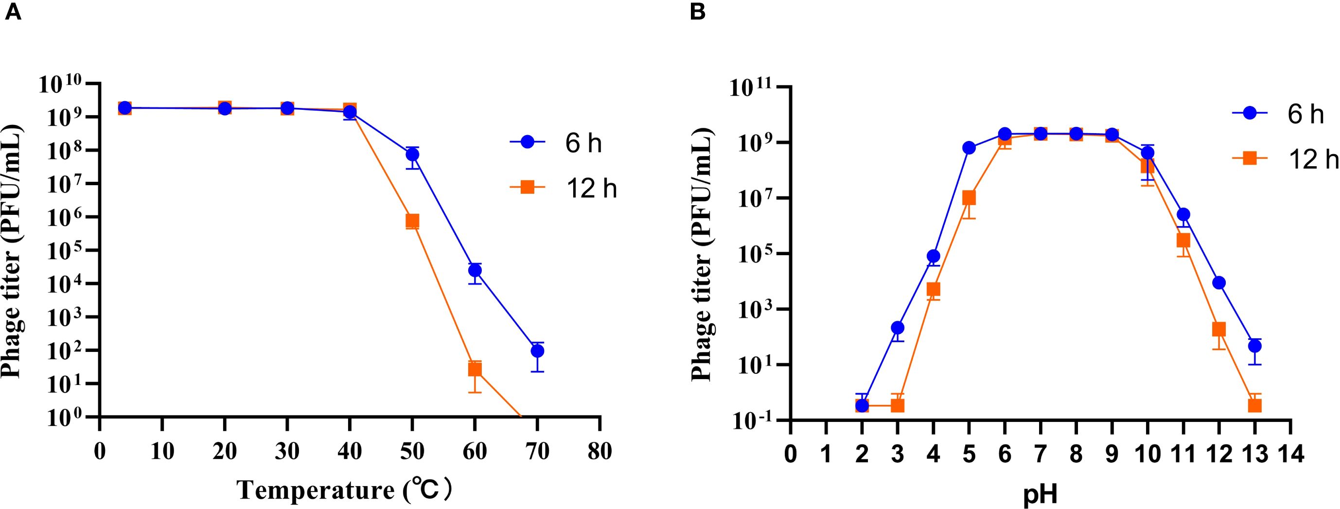 Graphs illustrating phage titer stability. Graph A shows phage titer versus temperature for 6 hours and 12 hours, indicating a decrease around 50°C and 60°C, respectively. Graph B depicts phage titer versus pH for the same durations, with stability between pH 3 and 12. Both graphs use blue circles for 6 hours and orange squares for 12 hours.