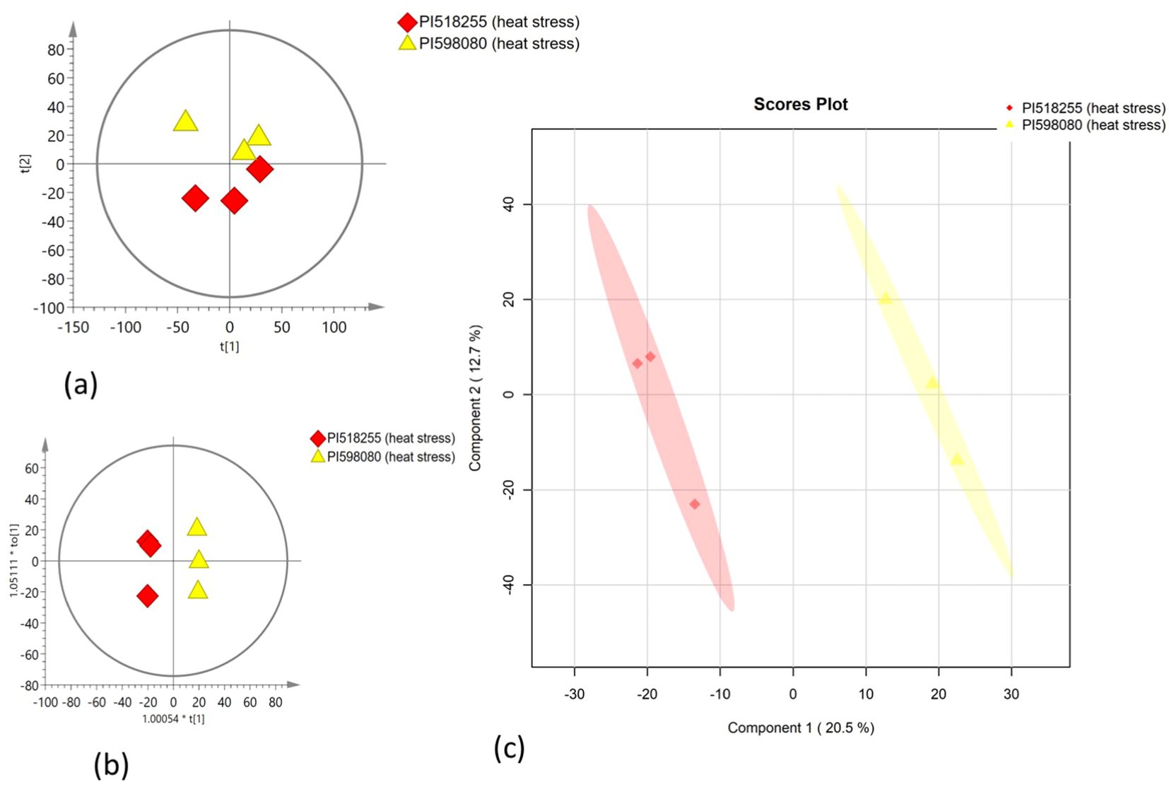 Graphs A and B are scatter plots showing heat stress in PI518255 (red diamonds) and PI598080 (yellow triangles) within circular plots. Graph C is a scores plot with components one and two, depicting red and yellow ellipses representing the same groups under heat stress.