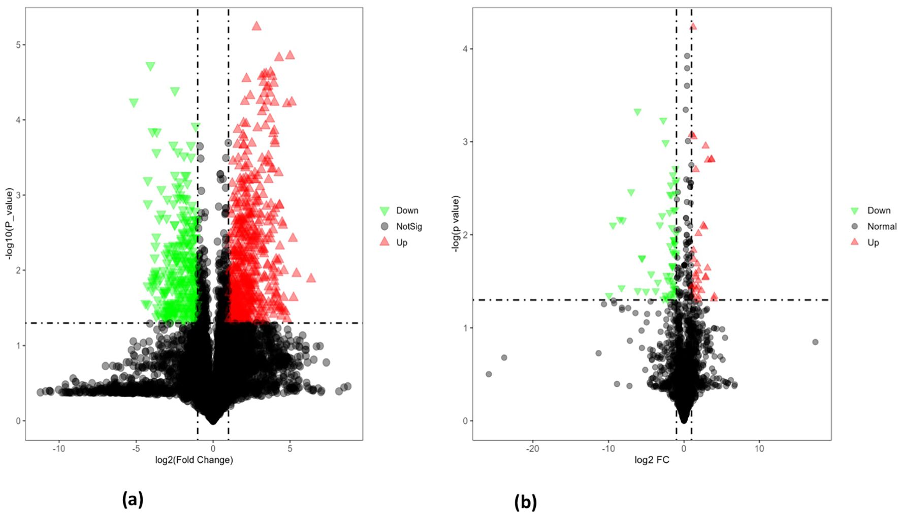 Two volcano plots labeled A and B, displaying gene expression data. Plot A shows genes with up (red triangles), down (green triangles), or not significant (black circles) changes. Plot B is similar, with the x-axis labeled as log2 fold change (FC) and the y-axis as negative log10 p-value.