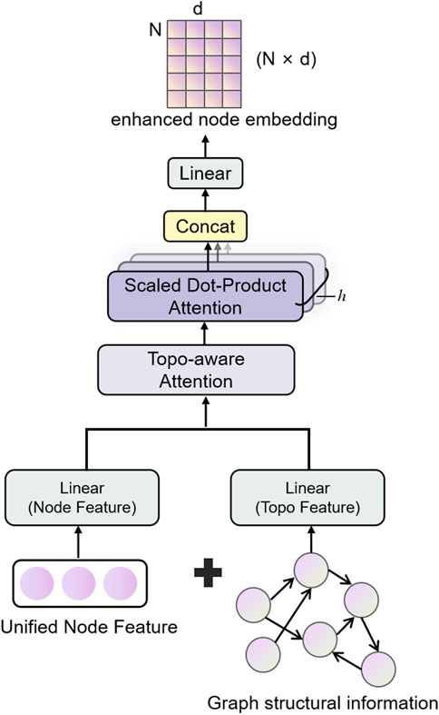 Diagram illustrating the process of enhanced node embedding. It starts with graph structural information processed through linear transformations for node and topological features. These are combined using topological-aware and scaled dot-product attention mechanisms. The result is concatenated and passed through a linear layer, yielding the enhanced node embedding, represented as a matrix with dimensions \(N \times d\).