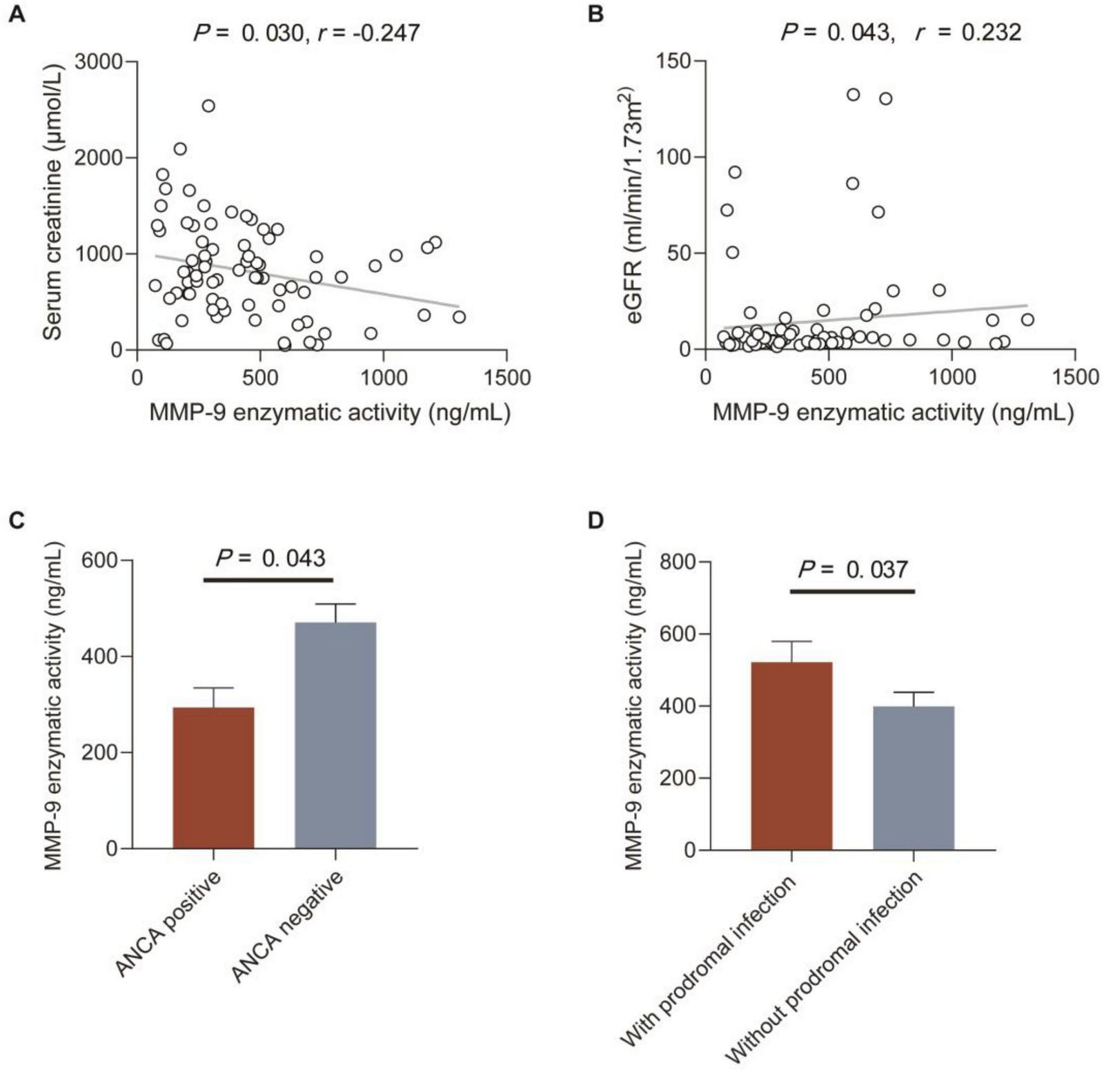 Four graphs showing relationships between MMP-9 enzymatic activity and various parameters. (A) Scatter plot of serum creatinine versus MMP-9 activity, showing a negative correlation (P = 0.030, r = -0.247). (B) Scatter plot of eGFR versus MMP-9 activity, showing a positive correlation (P = 0.043, r = 0.232). (C) Bar chart comparing MMP-9 activity in ANCA positive and negative groups, showing higher activity in the ANCA negative group (P = 0.043). (D) Bar chart comparing MMP-9 activity with and without prodromal infection, showing higher activity with infection (P = 0.037).