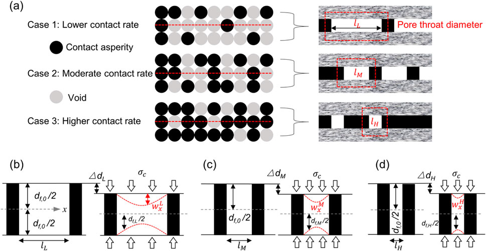 Diagram illustrating contact rates and pore throat diameters. Part (a) shows three cases: lower, moderate, and higher contact rates with corresponding contact asperity and void representations. Part (b) to (d) detail pore throat variations under different contact rates, indicating dimensions and forces applied.