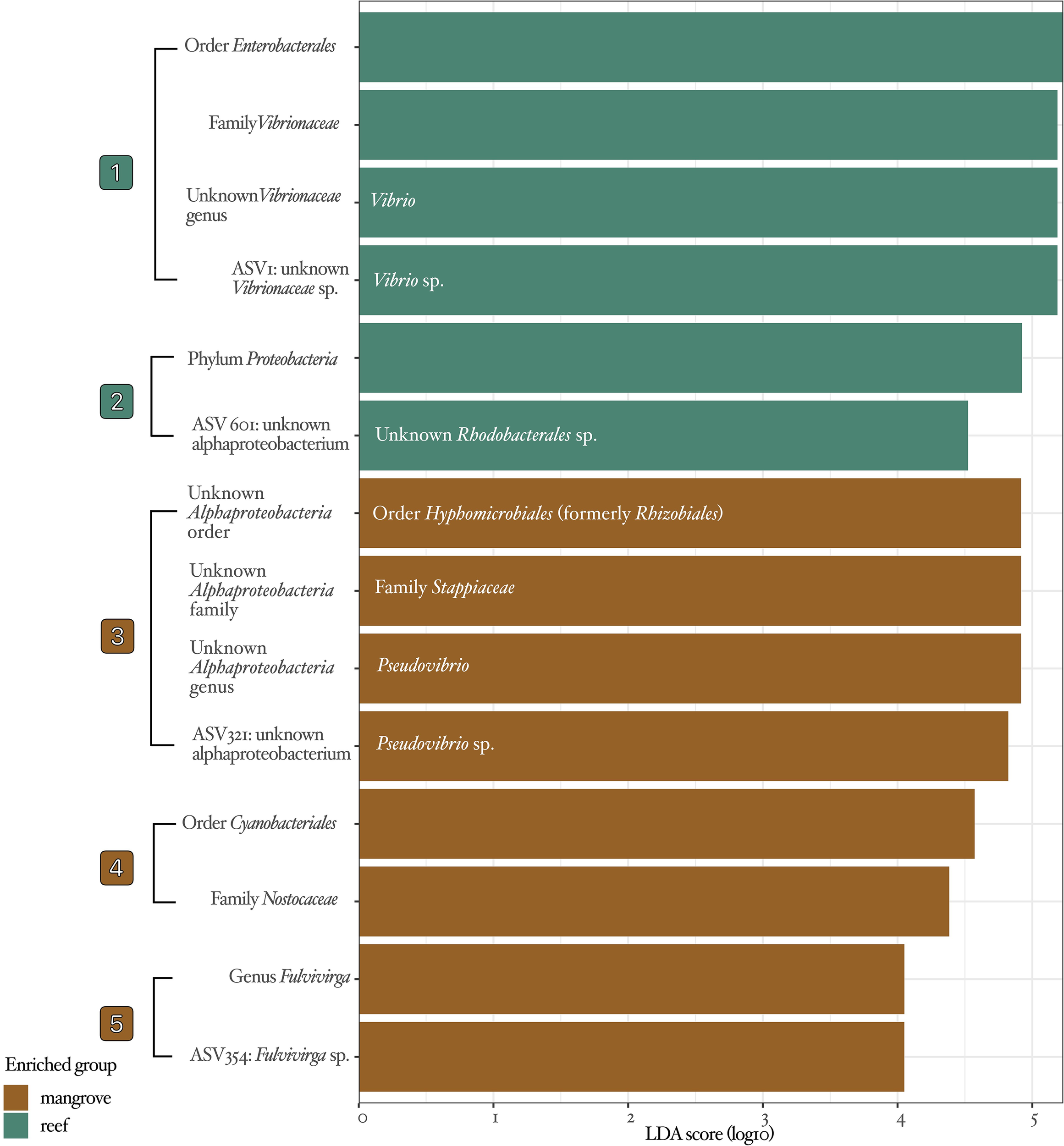 Bar chart displaying LDA scores of bacterial taxonomic groups enriched in mangrove and reef environments. Categories include Vibrionaceae, Proteobacteria, Alphaproteobacteria, Cyanobacteriales, and Fulvivirga. Different colors represent mangrove and reef groups.
