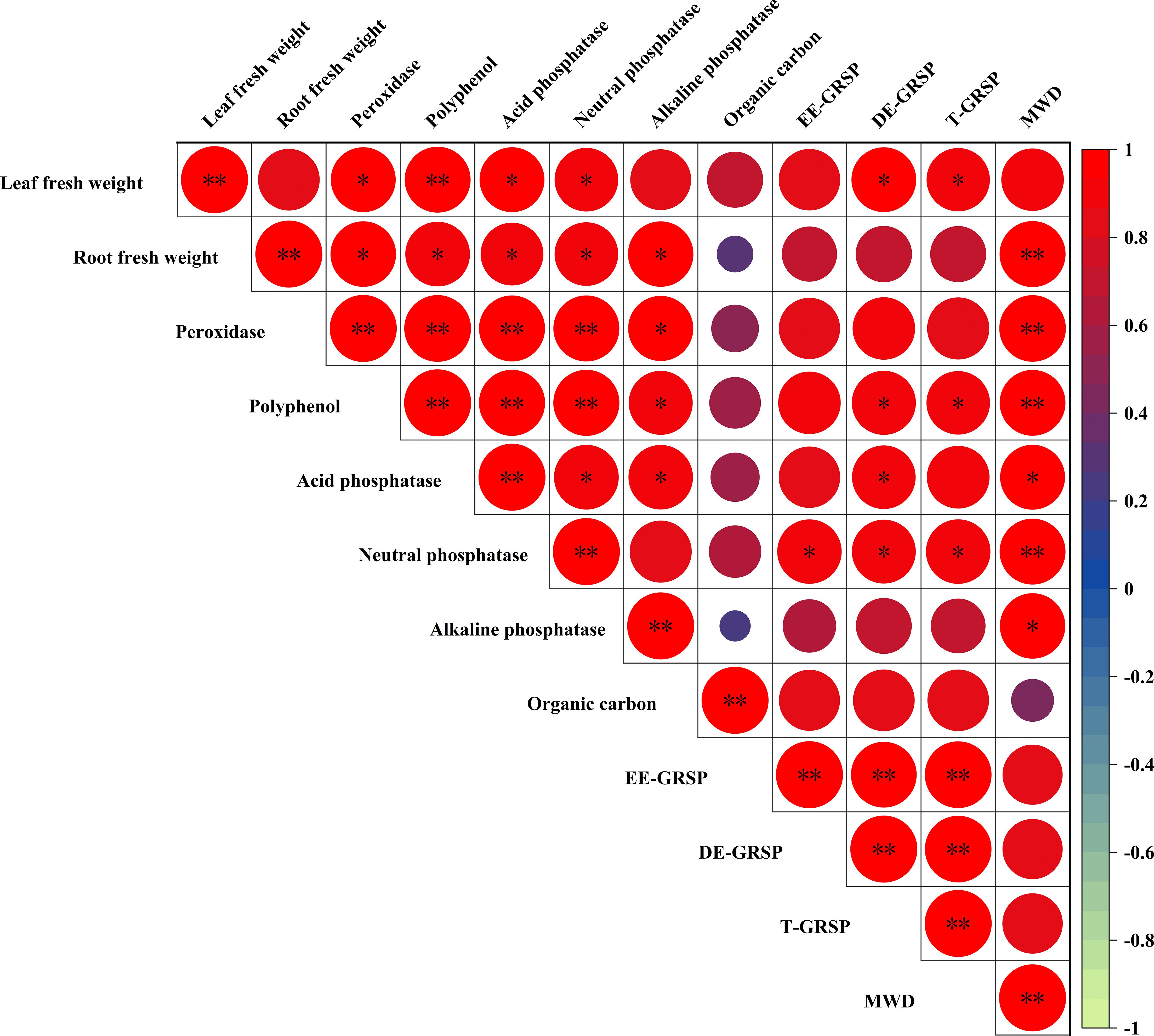 Correlation matrix displaying relationships between various biological and chemical parameters such as leaf fresh weight, root fresh weight, enzymes, and organic carbon. Colored circles indicate correlation strength, with a gradient from blue (negative) to red (positive). A color bar ranges from minus one to plus one, representing correlation values. Significant correlations are marked with asterisks, where a greater number of asterisks indicates higher statistical significance.