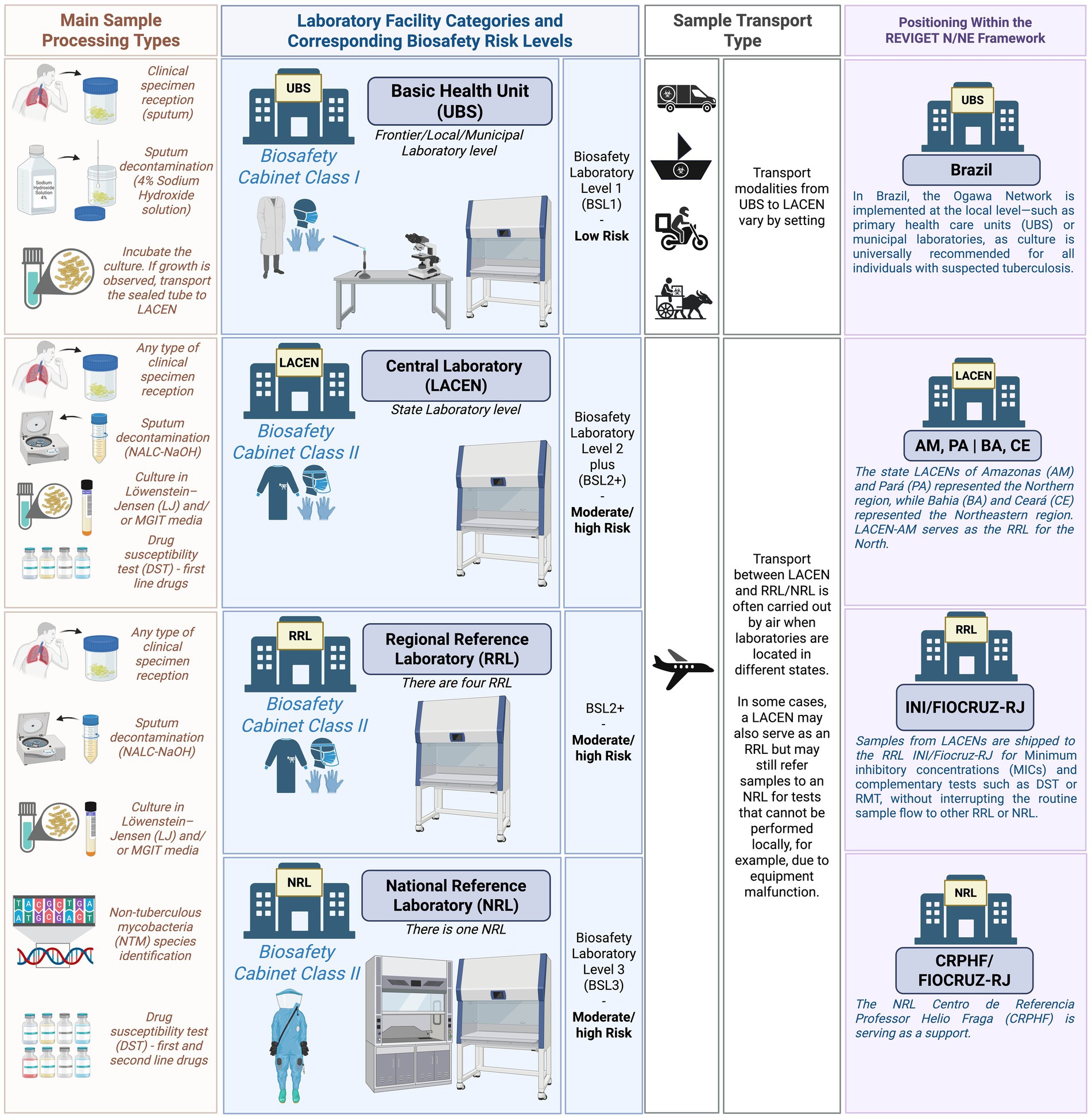 A flowchart describes the relationship between sample processing types, laboratory categories with biosafety levels, sample transport types, and regional positioning within the REDE-TB framework. It shows clinical specimen processing at UBS (Basic Health Unit) with Biosafety Level 1 for low risk, progressing to LACEN (Central Laboratory) and RRL (Regional Reference Laboratory) with Biosafety Level 2 plus for moderate/high risk, and finally NRL (National Reference Laboratory) with Biosafety Level 3 for the highest risk. Transport methods include vehicles and airplanes. The geographic context includes Brazilian states such as Amazonas and Bahia.
