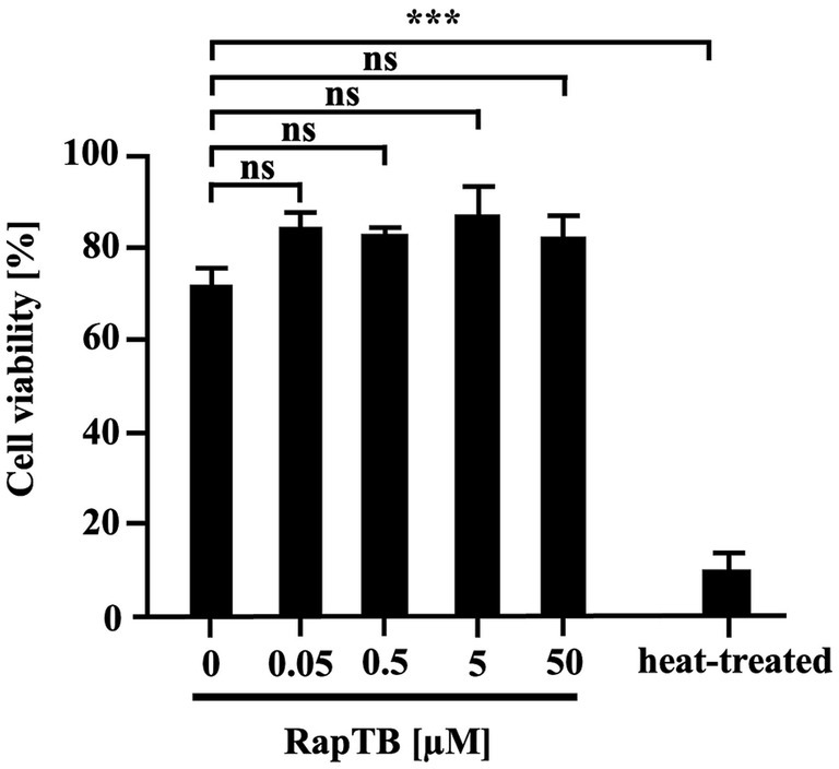 Bar graph showing cell viability percentages at different RapTB concentrations: 0, 0.05, 0.5, 5, 50 micromolar, and heat-treated control. High viability is consistent across concentrations, except significantly reduced in heat-treated. Statistical significance indicated by asterisks.