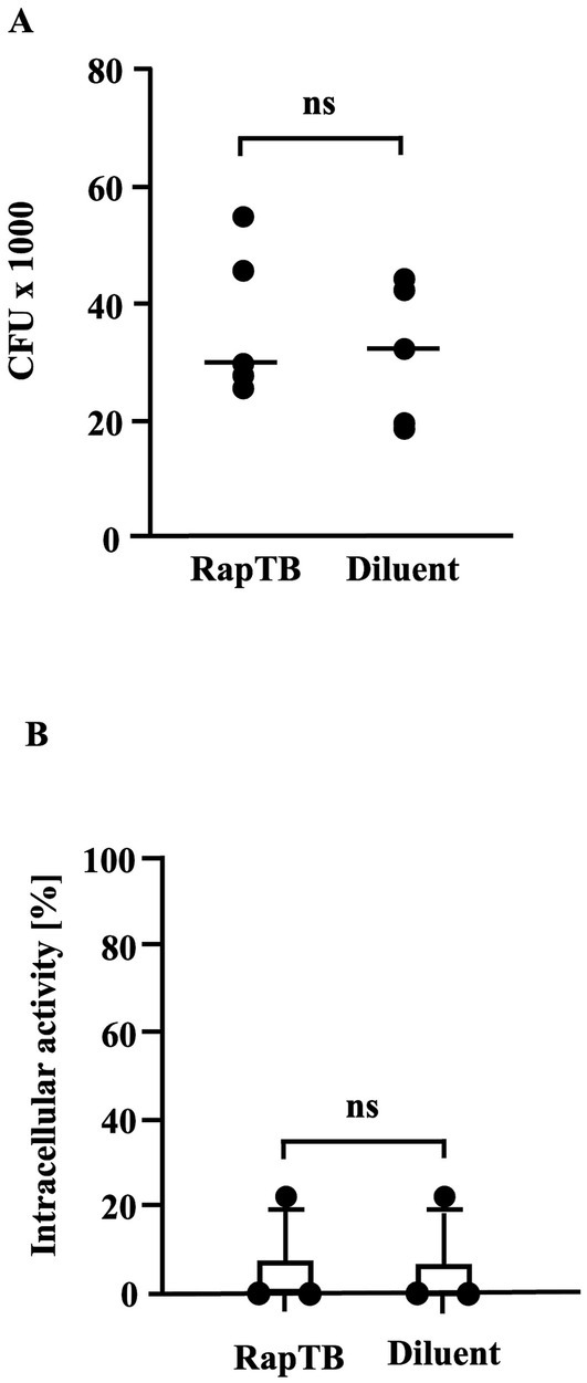 Two graphs labeled A and B compare RapTB and Diluent treatments. A shows CFU counts in thousands, indicating no significant difference (ns) between groups. B depicts intracellular activity percentage, also showing no significant difference (ns) between RapTB and Diluent.