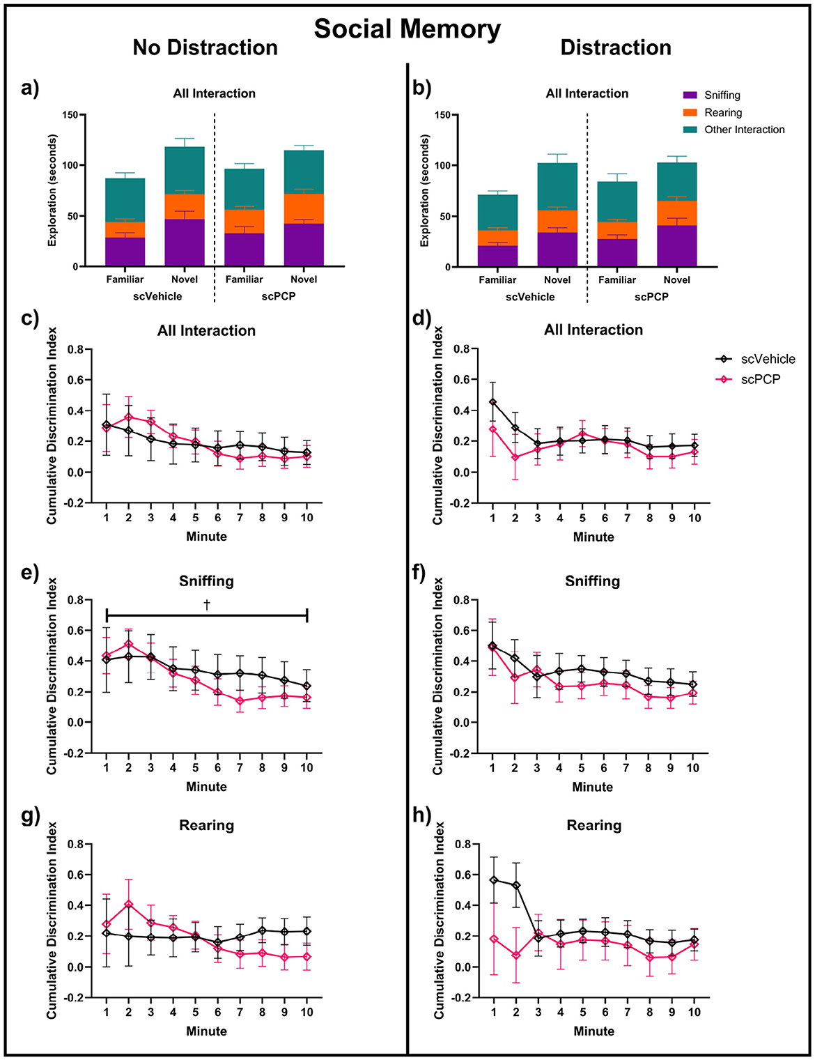 Graphs depicting social memory under conditions of no distraction and distraction. The top graphs (a and b) show exploration times for familiar and novel objects using scVehicle and scPCP, divided into sniffing, rearing, and other interactions. The bottom graphs (c-h) plot the cumulative discrimination index per minute for each interaction type. Graphs c and d show all interactions, e and f focus on sniffing, and g and h depict rearing. Each line represents either scVehicle or scPCP, with error bars indicating variability.