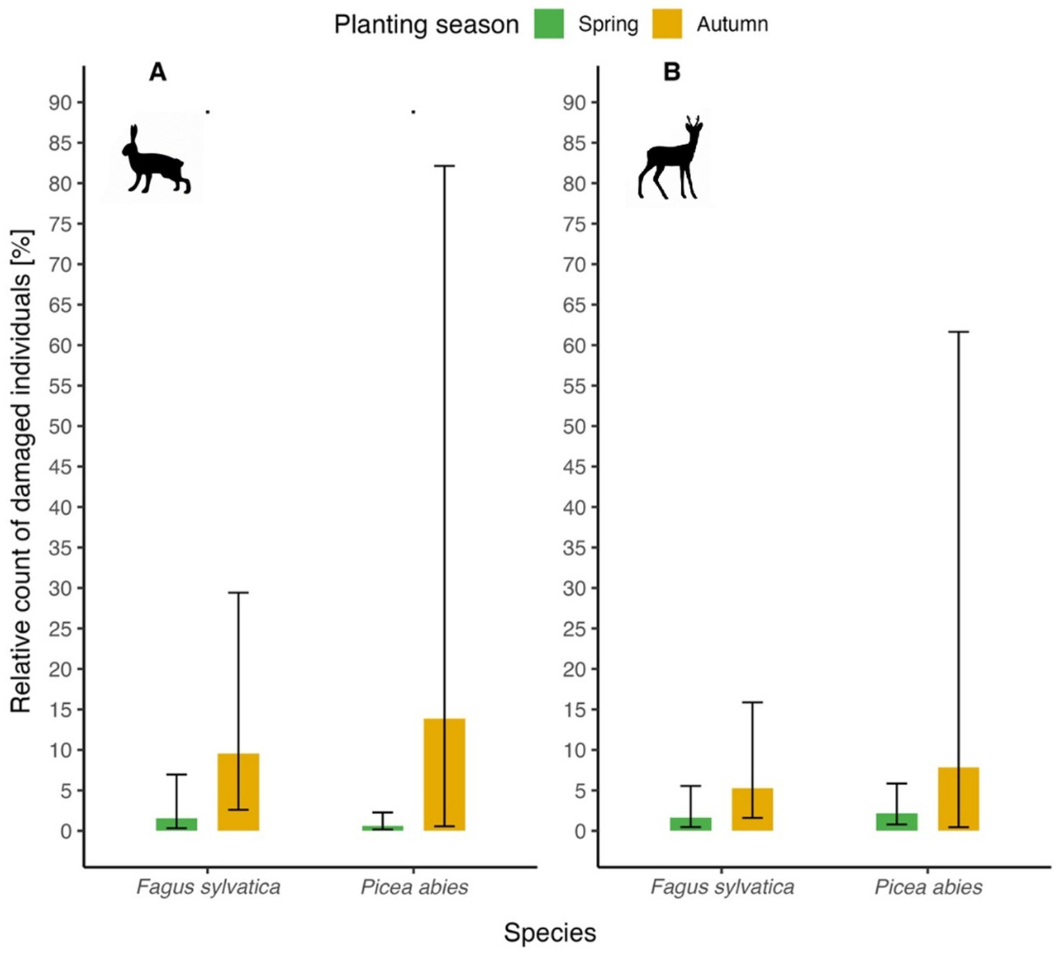 Bar graph showing the relative count of damaged individuals for two species, Fagus sylvatica and Picea abies, during spring and autumn. Panel A shows data for hares, and Panel B for deer. Bars indicate damage percentage, with green for spring and yellow for autumn. Autumn shows higher damage levels for both species and animals compared to spring.