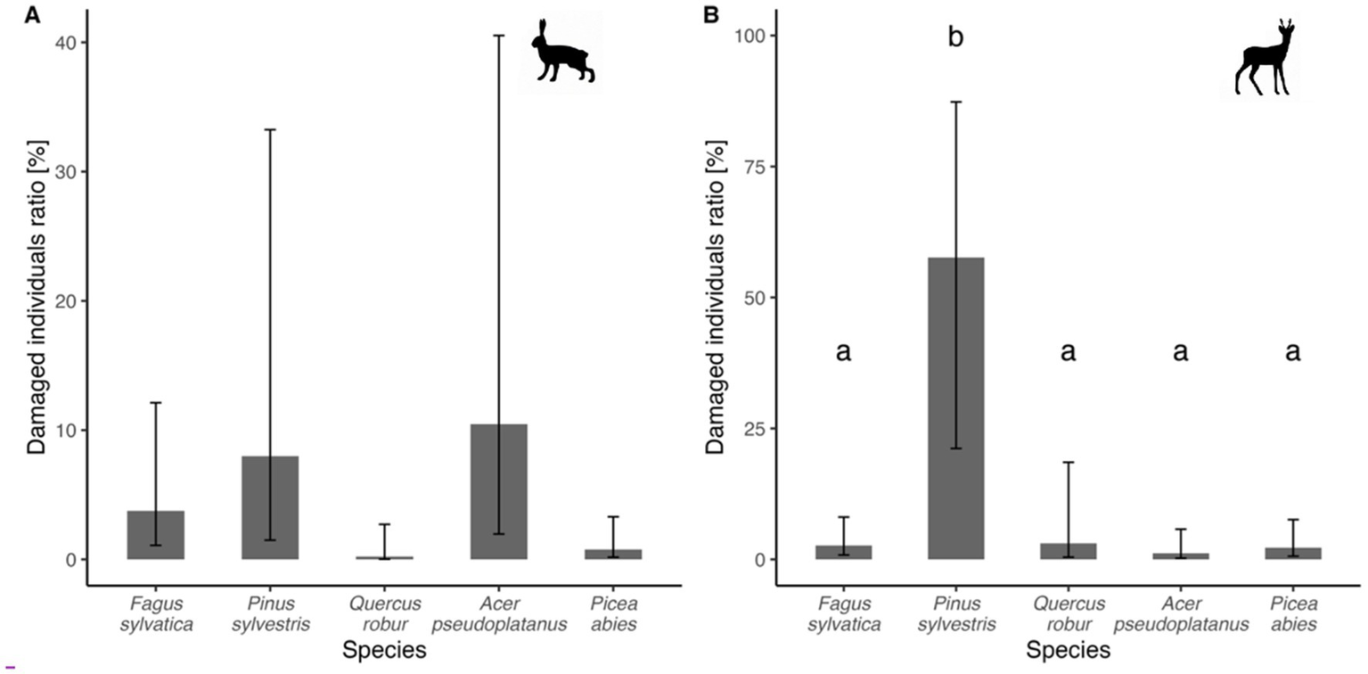 Bar graphs show the ratio of damaged individuals among different plant species. Panel A, representing hare impact, shows low damage ratios for all species, with highest in Pinus sylvestris. Panel B, representing deer impact, shows significant damage in Pinus sylvestris, marked as "b", while other species have low damage marked as "a".
