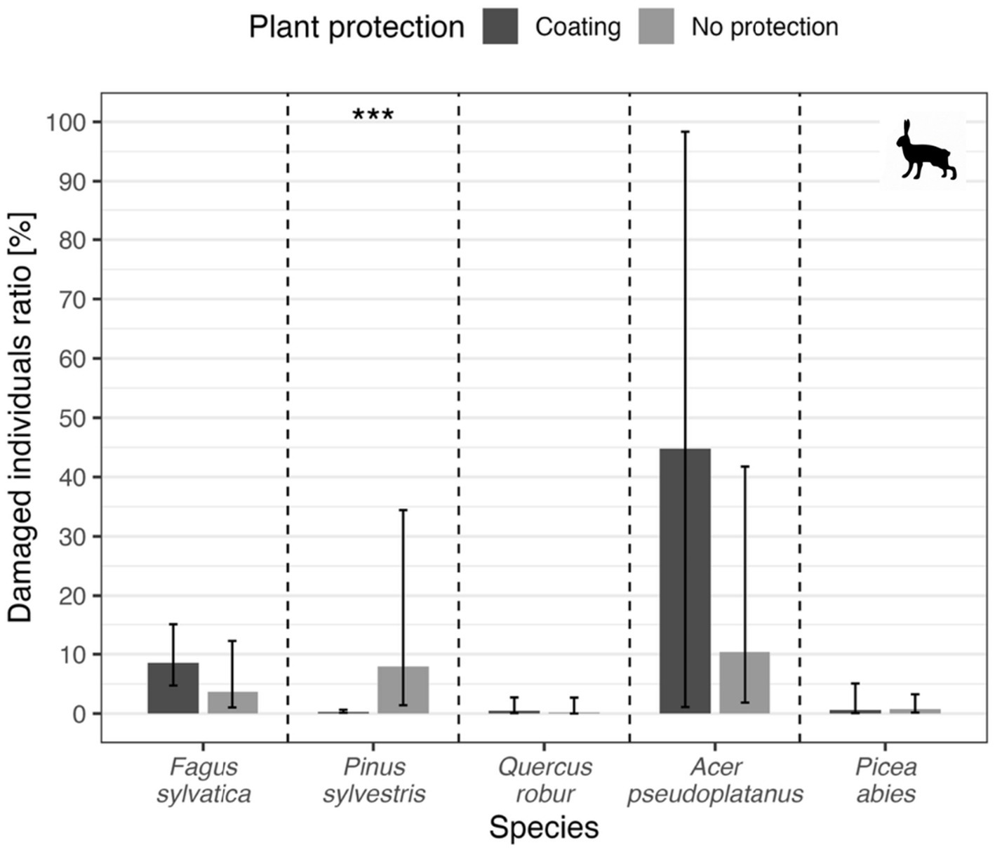 Bar chart showing the percentage of damaged individuals across five tree species: Fagus sylvatica, Pinus sylvestris, Quercus robur, Acer pseudoplatanus, and Picea abies. Damage protection methods include coating and no protection. Acer pseudoplatanus shows significantly higher damage with coating, marked by three asterisks, indicating statistical significance. A silhouette of a hare is in the upper right corner.