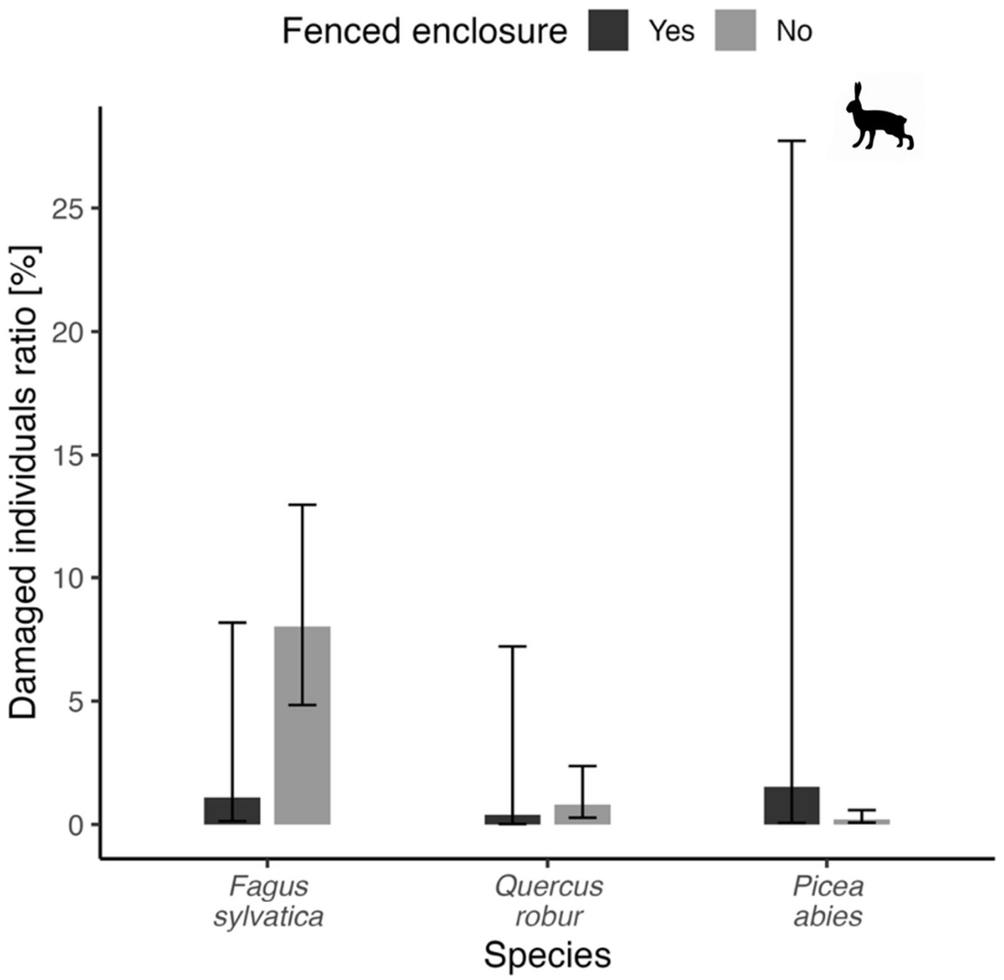 Bar chart comparing the damaged individuals ratio of three tree species: Fagus sylvatica, Quercus robur, and Picea abies. The chart distinguishes between fenced (black bars) and non-fenced (grey bars) enclosures, with damages shown as percentages. Fagus sylvatica has higher damage in non-fenced areas. A silhouette of a hare is depicted above the chart.