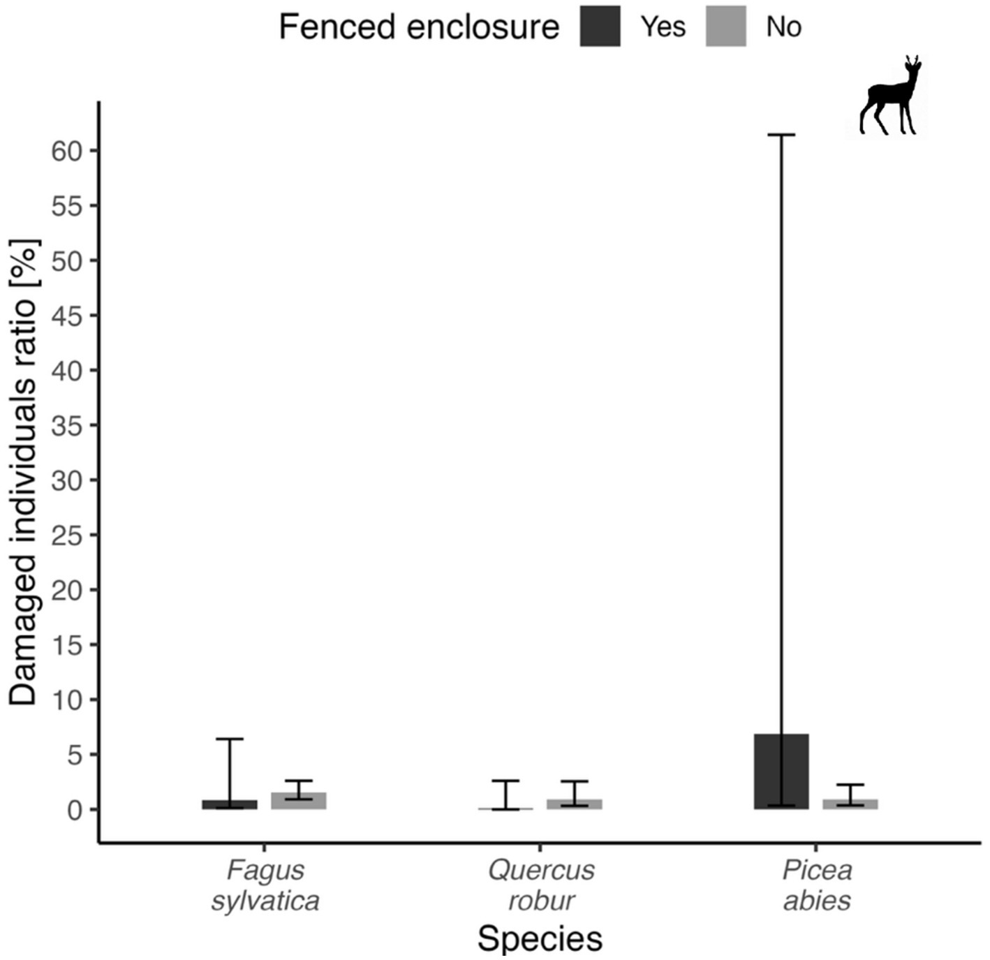 Box plot comparing the damaged individuals ratio for three tree species: Fagus sylvatica, Quercus robur, and Picea abies, with and without fenced enclosures. Fenced enclosures are indicated with dark gray and show a higher damage ratio for Picea abies. The y-axis displays the percentage up to sixty percent. A deer silhouette is present on the right.
