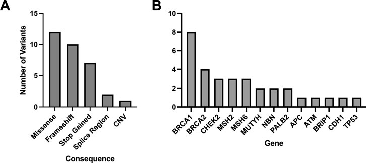 Bar charts comparing genetic variants. Chart A shows the number of variants by consequence: missense, frameshift, stop gained, splice region, CNV. Missense has the highest variants. Chart B shows the number of variants by gene: BRCA1, BRCA2, CHEK2, MSH2, MSH6, MUTYH, NBN, PALB2, APC, ATM, BRIP1, CDH1, TP53. BRCA1 has the highest variants.