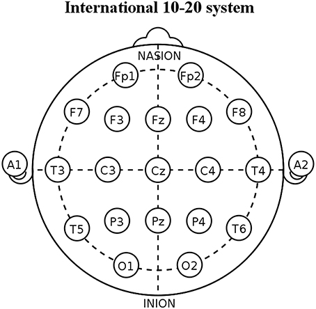 www.frontiersin.org