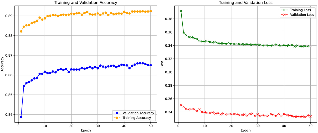 Two line graphs compare training and validation metrics over 50 epochs. The left graph shows accuracy, with training accuracy (orange) peaking around 0.89 and validation accuracy (blue) leveling near 0.87. The right graph shows loss, with training loss (green) decreasing to about 0.34 and validation loss (red) to about 0.24.
