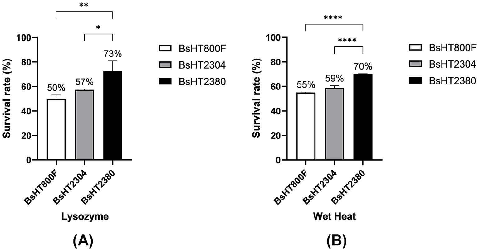 Bar graphs comparing survival rates of three groups: BsHT800F, BsHT2304, and BsHT2380. Graph (A) shows lysozyme treatment with survival rates of 50%, 57%, and 73%, respectively. Graph (B) shows wet heat treatment with survival rates of 55%, 59%, and 70%, respectively. Significance is indicated by asterisks.